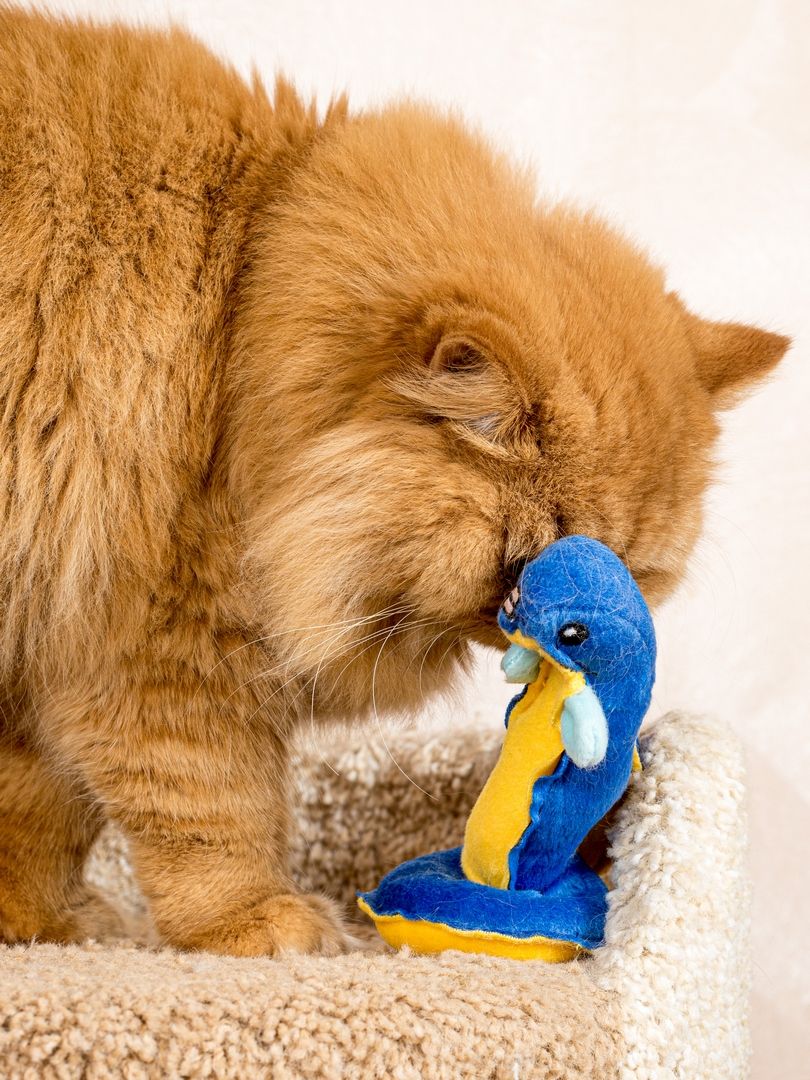 Product CT00683157 photo 5