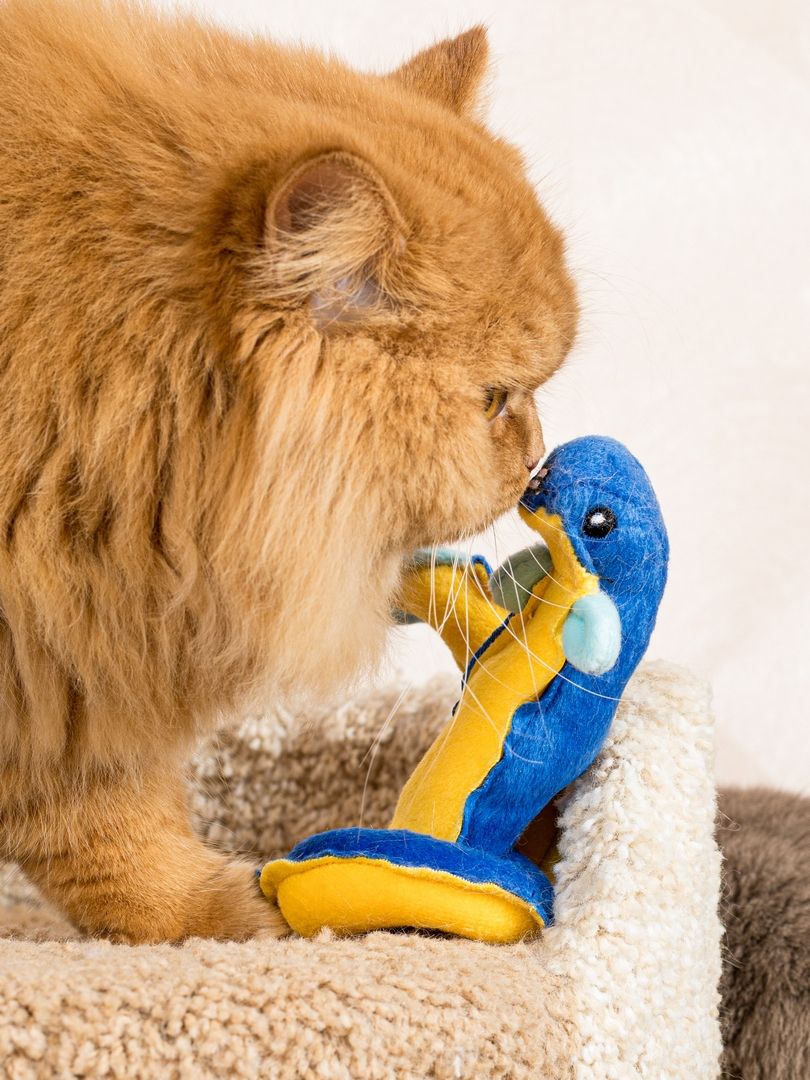 Product CT00683157 photo 6