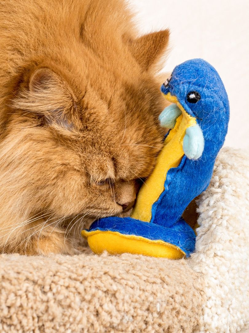 Product CT00683157 photo 7