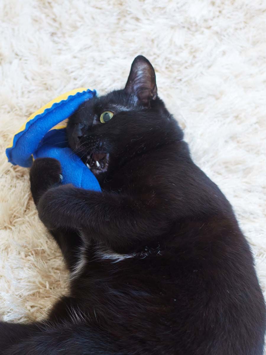 Product CT00683157 photo 9