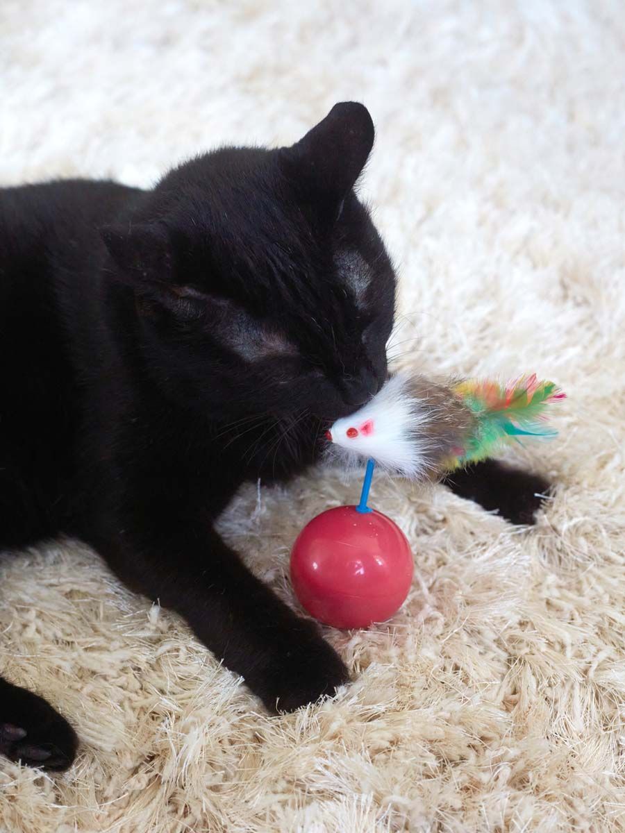 Product CT00842876 photo 3