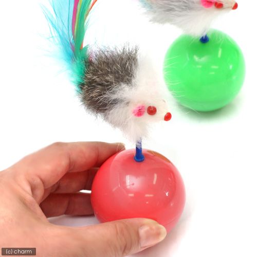 Product CT00842876 photo 7