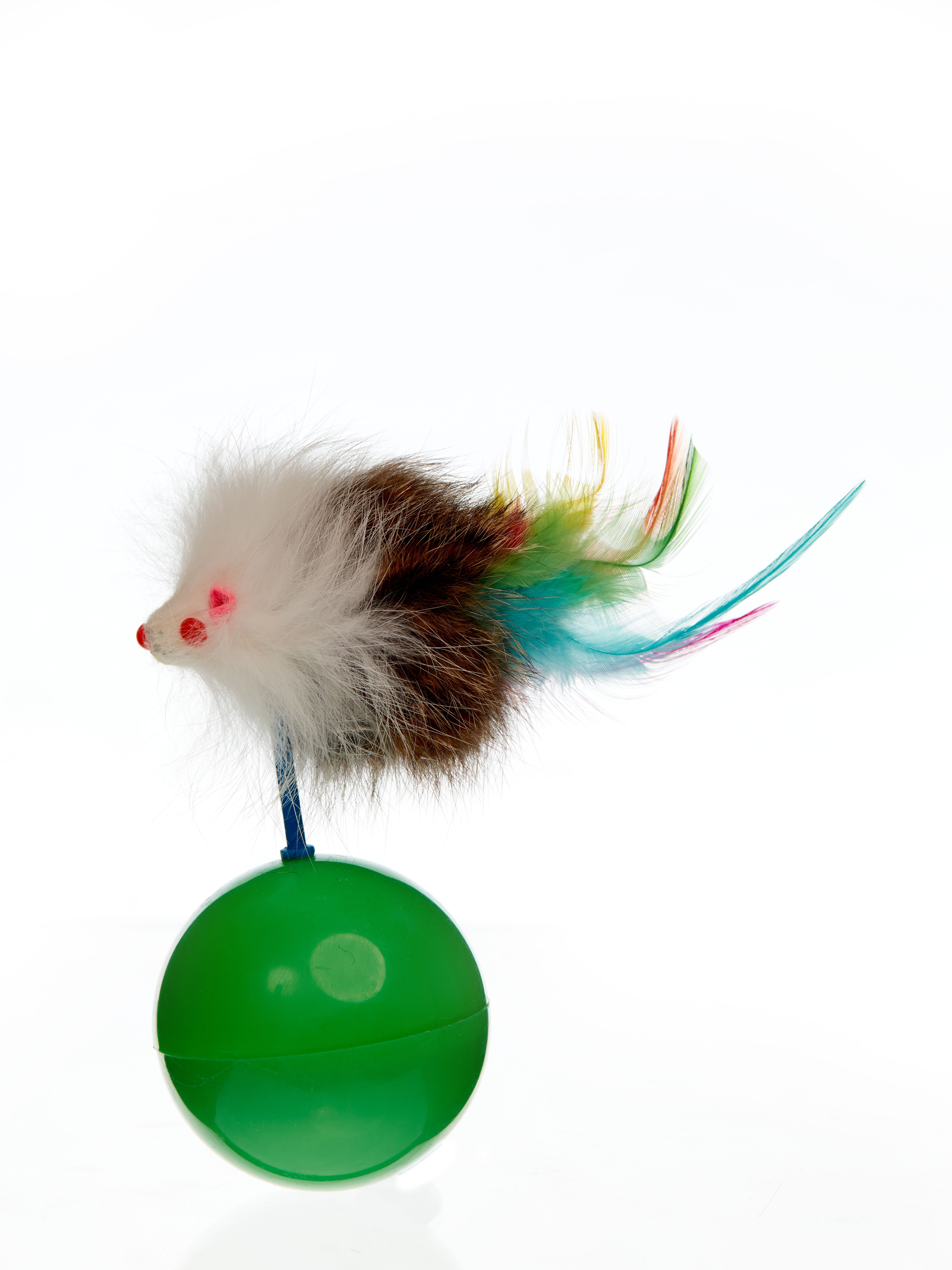 Product CT00842876 photo 9