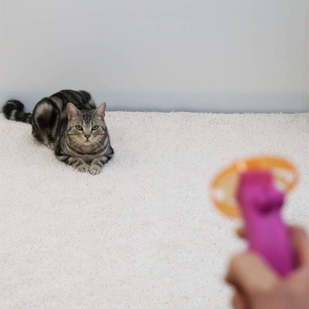 Product CT00843972 photo 4