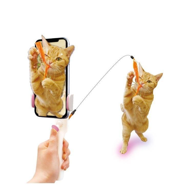 Product CT00845181 photo 8