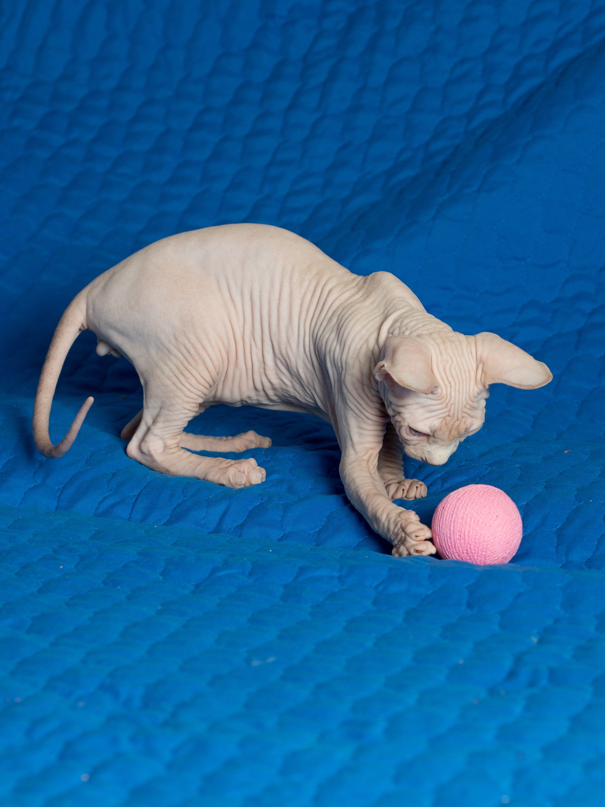 Produkt CTB0843941 Bild 2