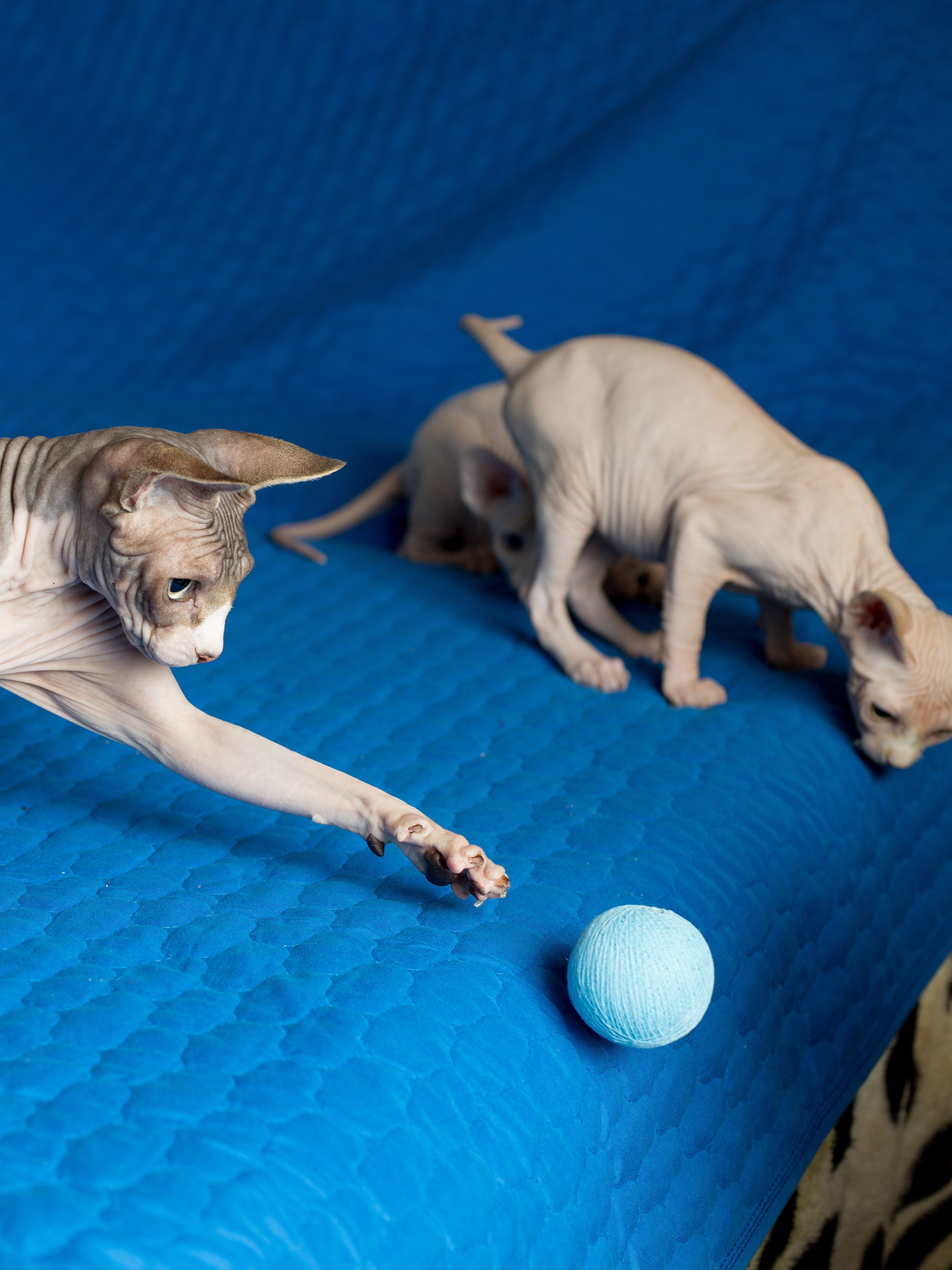 Produkt CTB0843941 Bild 3