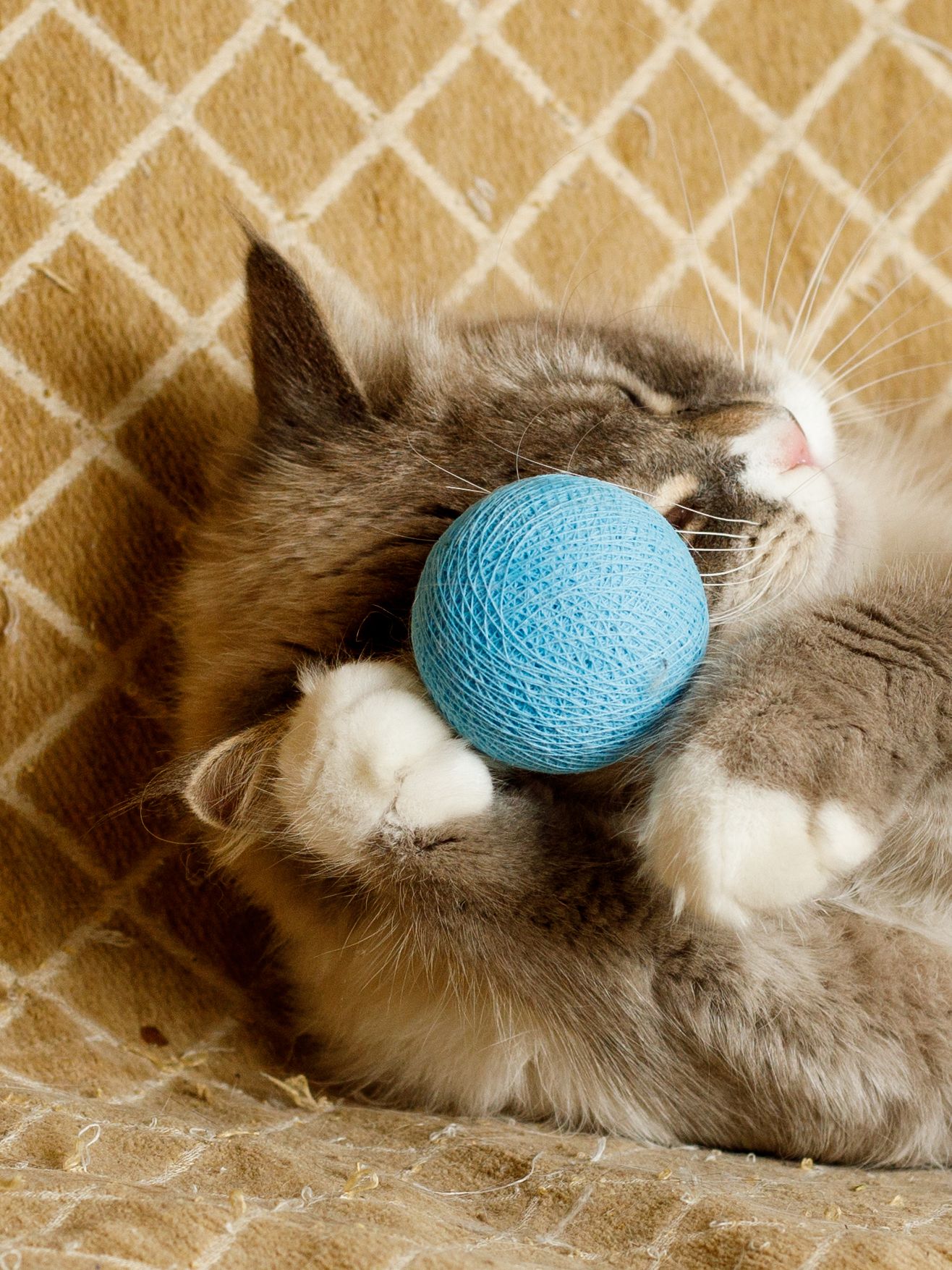 Produkt CTB0843941 Bild 4