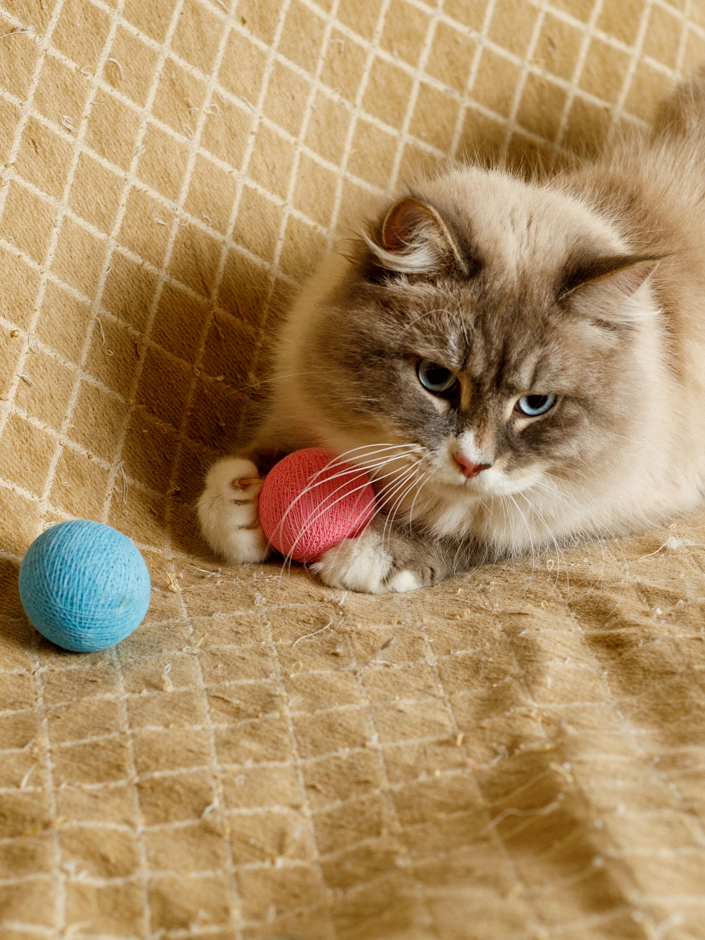 Produkt CTB0843941 Bild 6