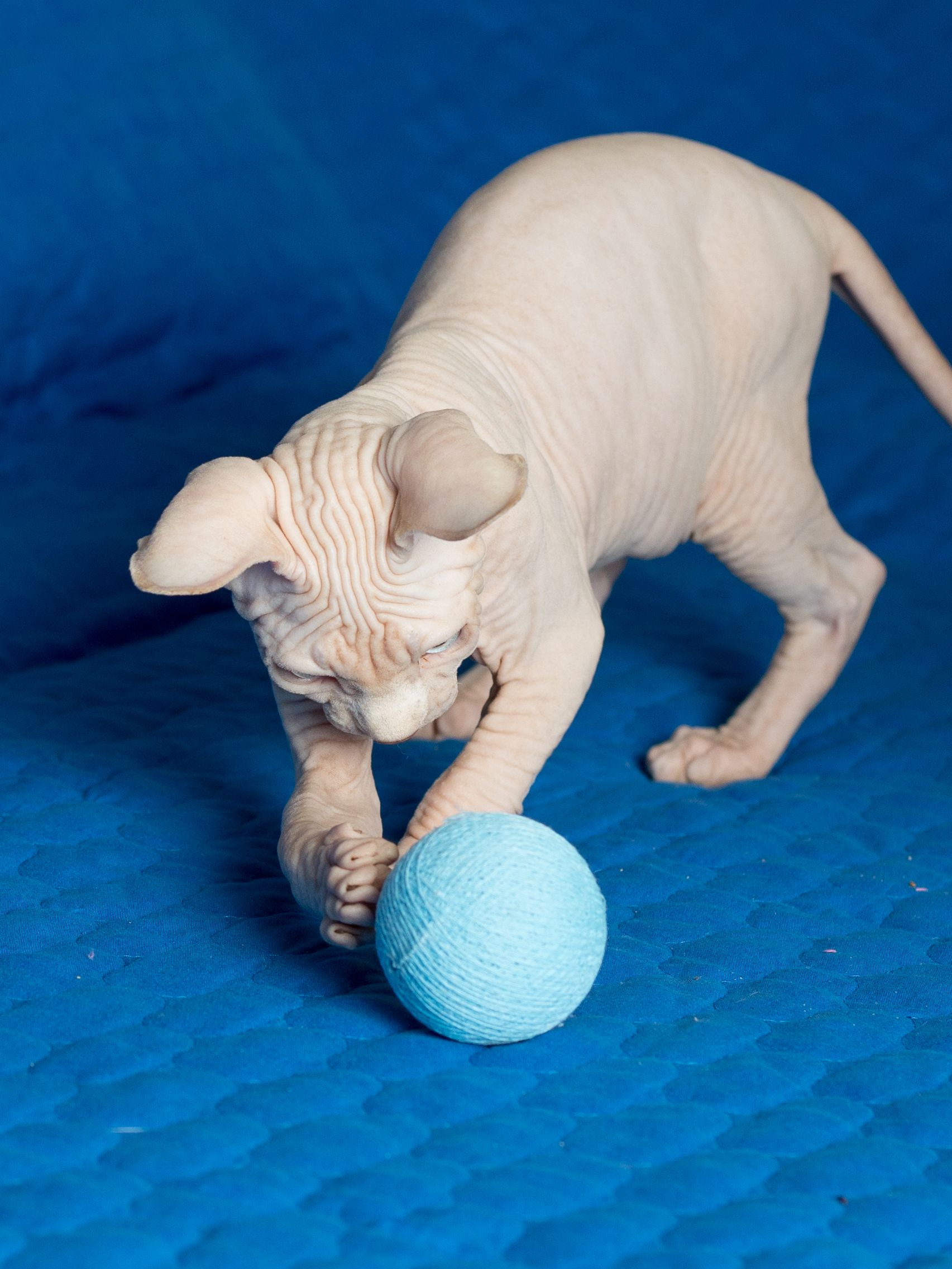 Produkt CTB0843941 Bild 9