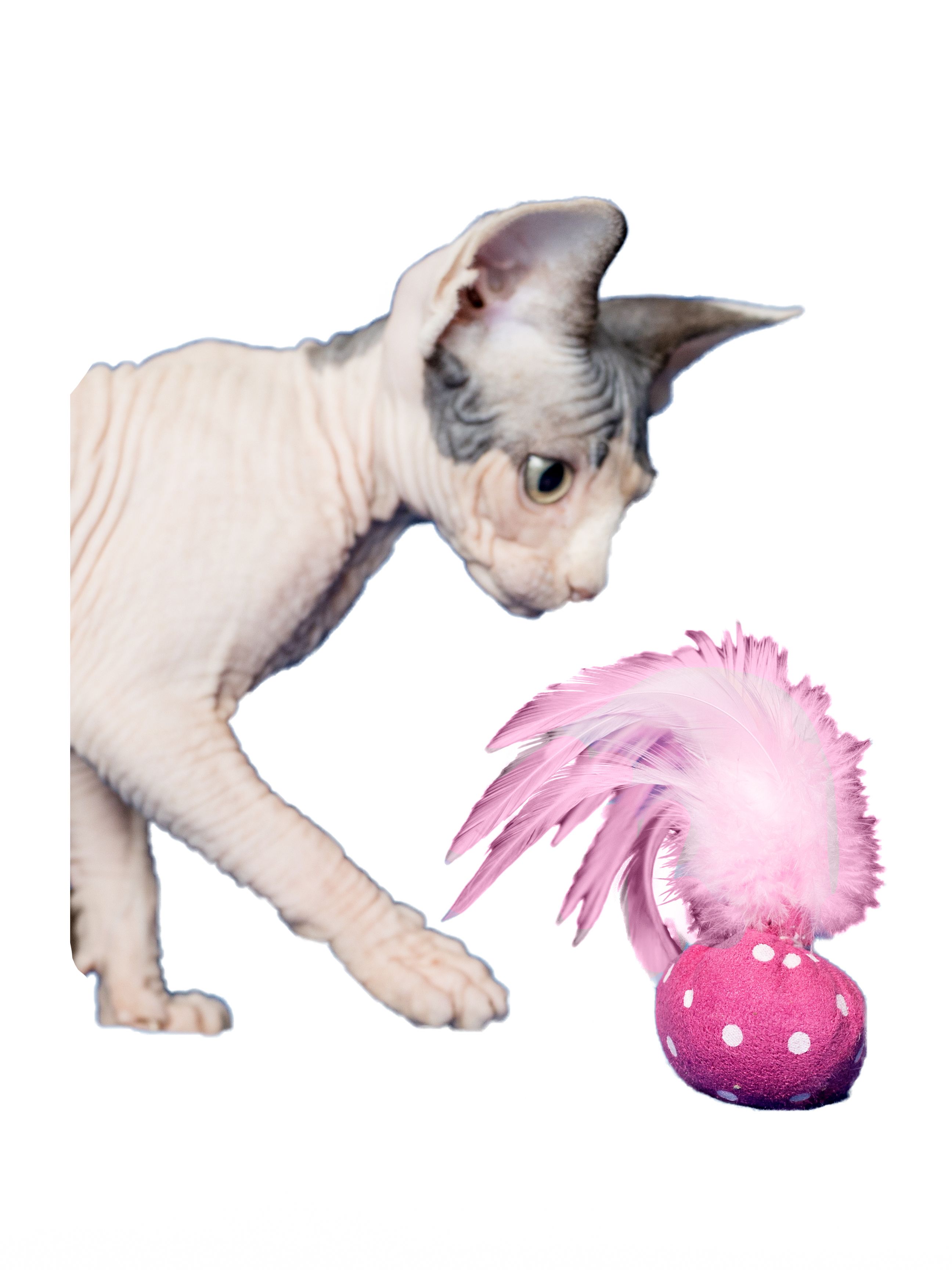 Produkt CTC0658124 Bild 13