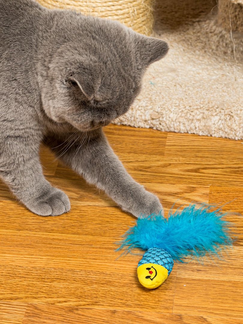 Product CTC0680965 photo 3