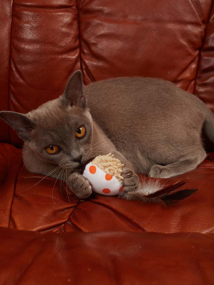 Produkt CTC0681009 Bild 11