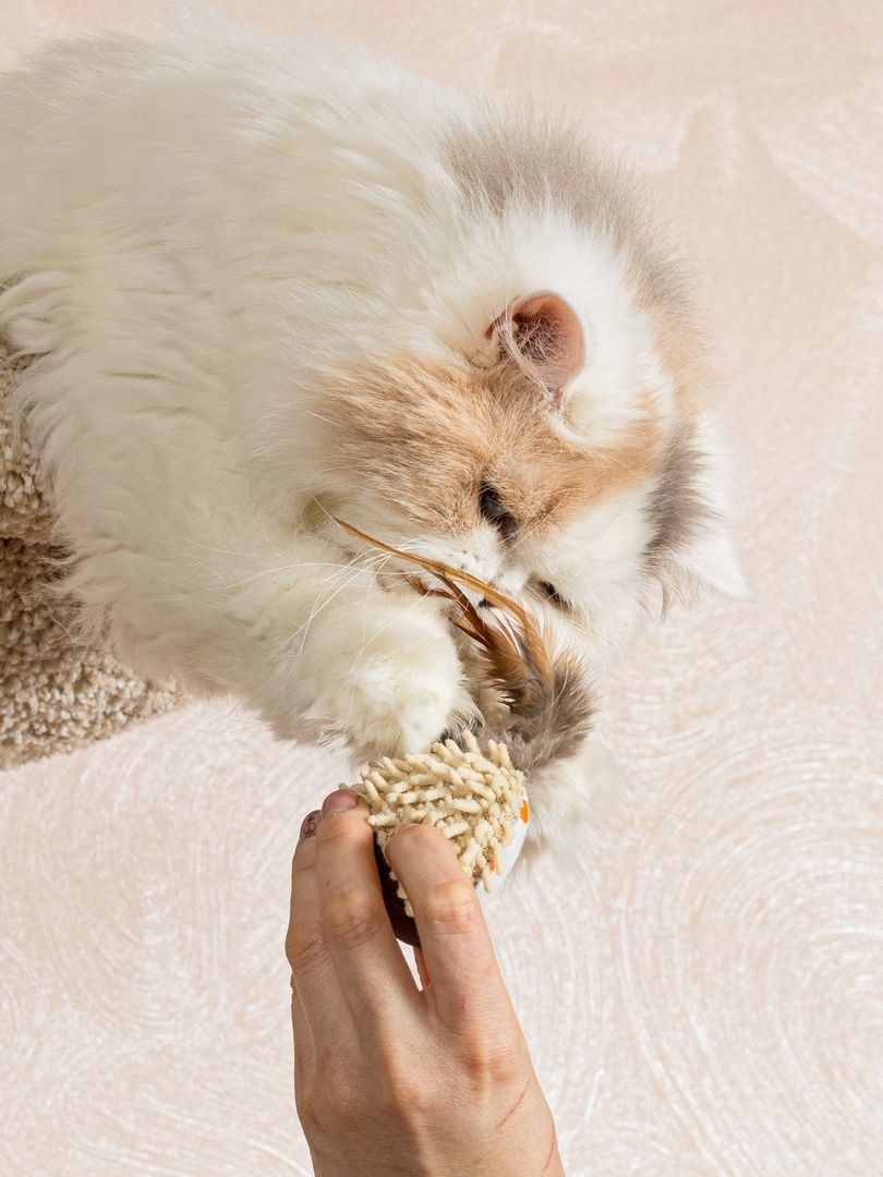 Produkt CTC0681009 Bild 2