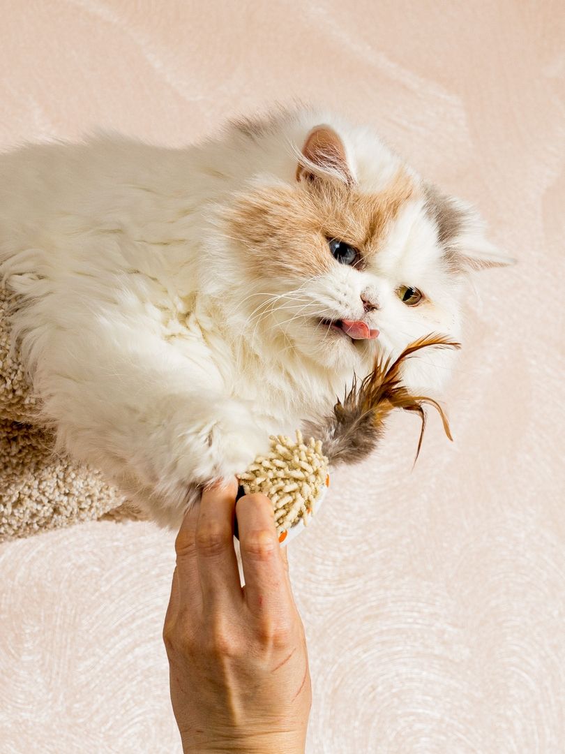 Produkt CTC0681009 Bild 3