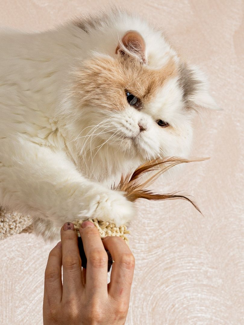 Produkt CTC0681009 Bild 4