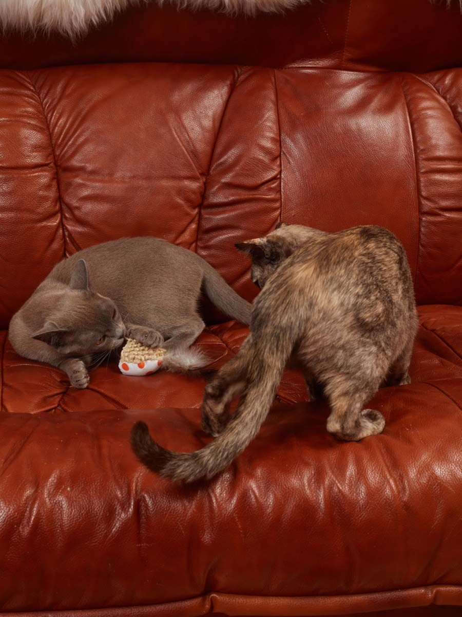 Produkt CTC0681009 Bild 9