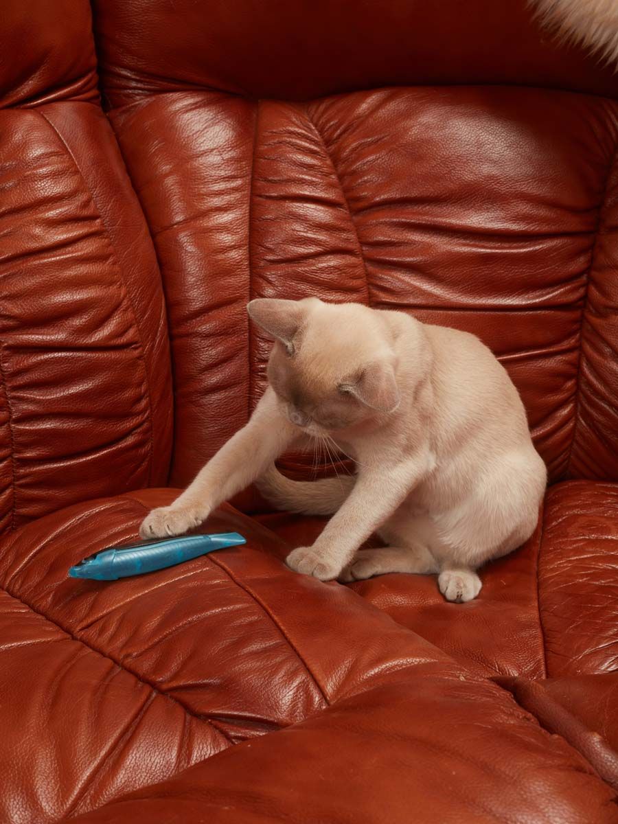 Produkt CTM0843552 Bild 3