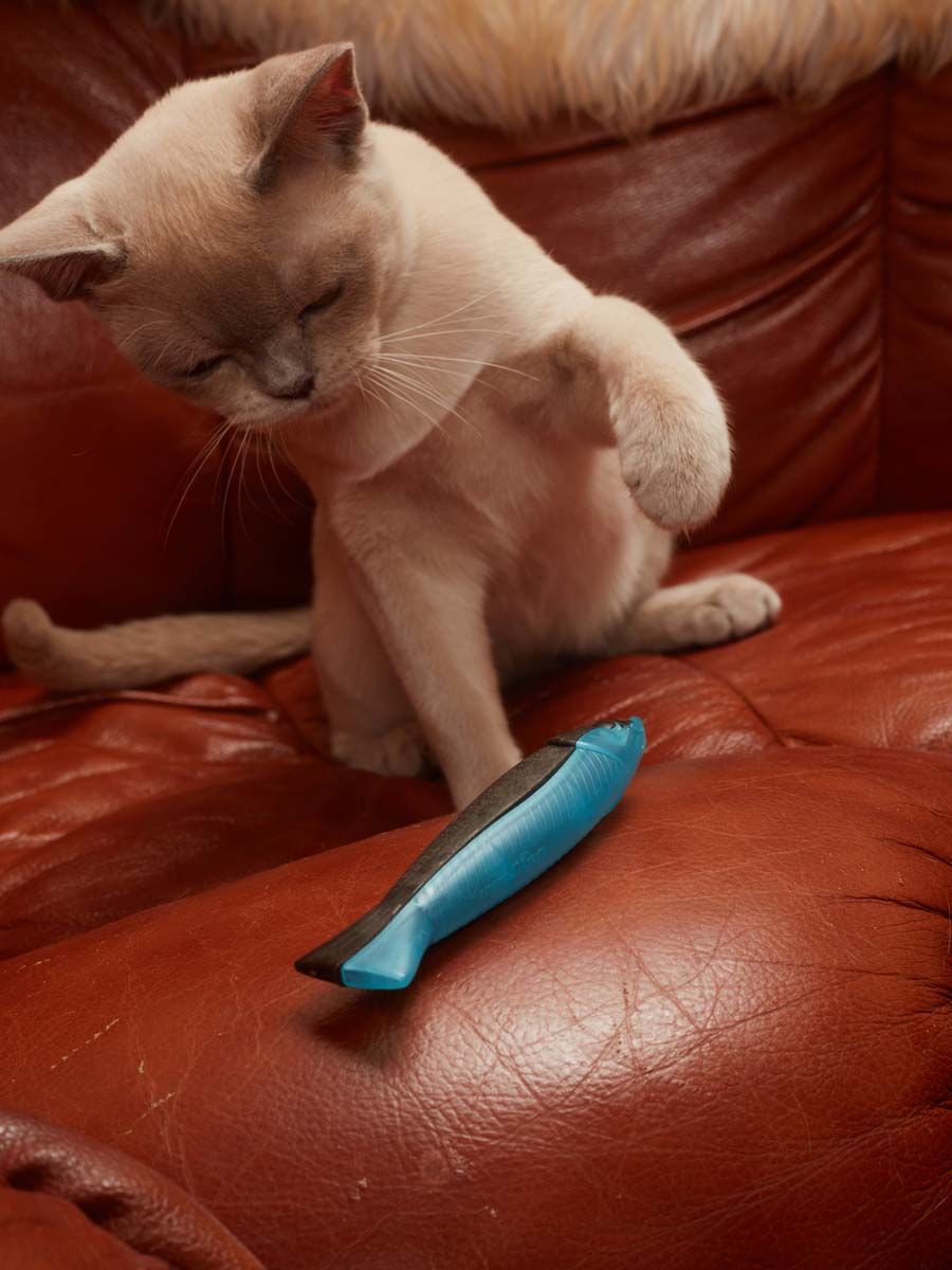 Produkt CTM0843552 Bild 5