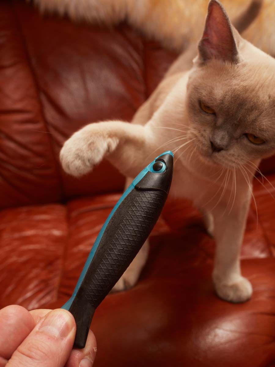 Produkt CTM0843552 Bild 6