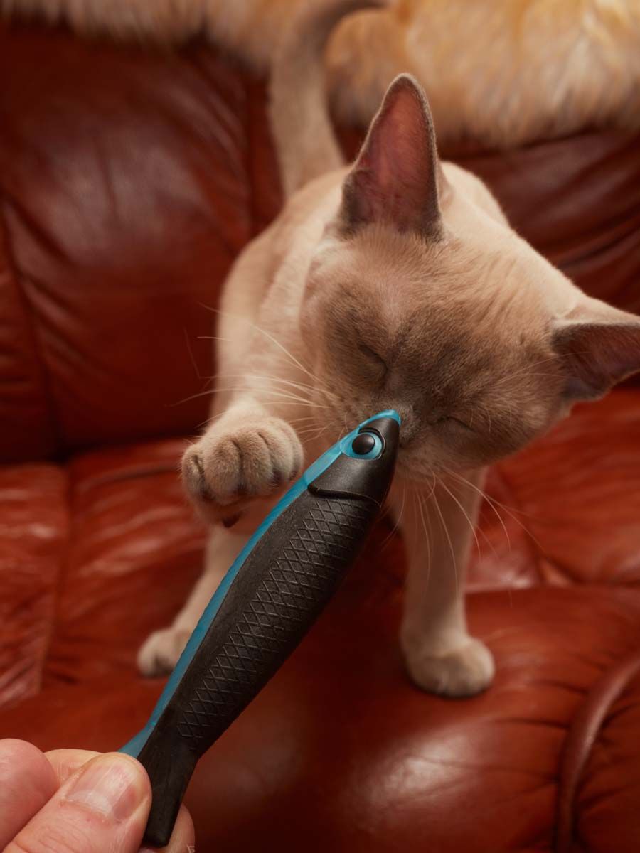 Produkt CTM0843552 Bild 7