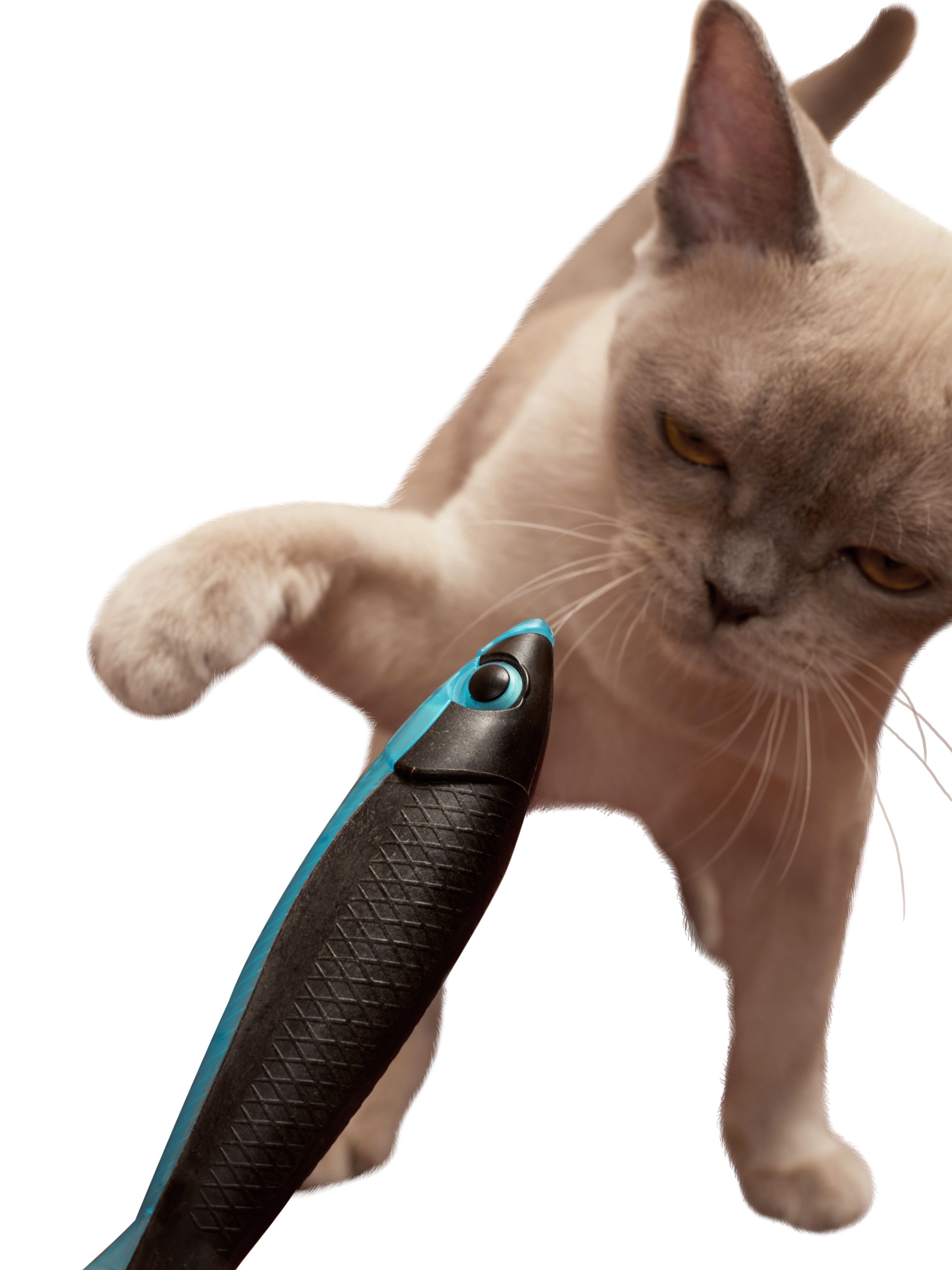 Produkt CTM0843552 Bild 8