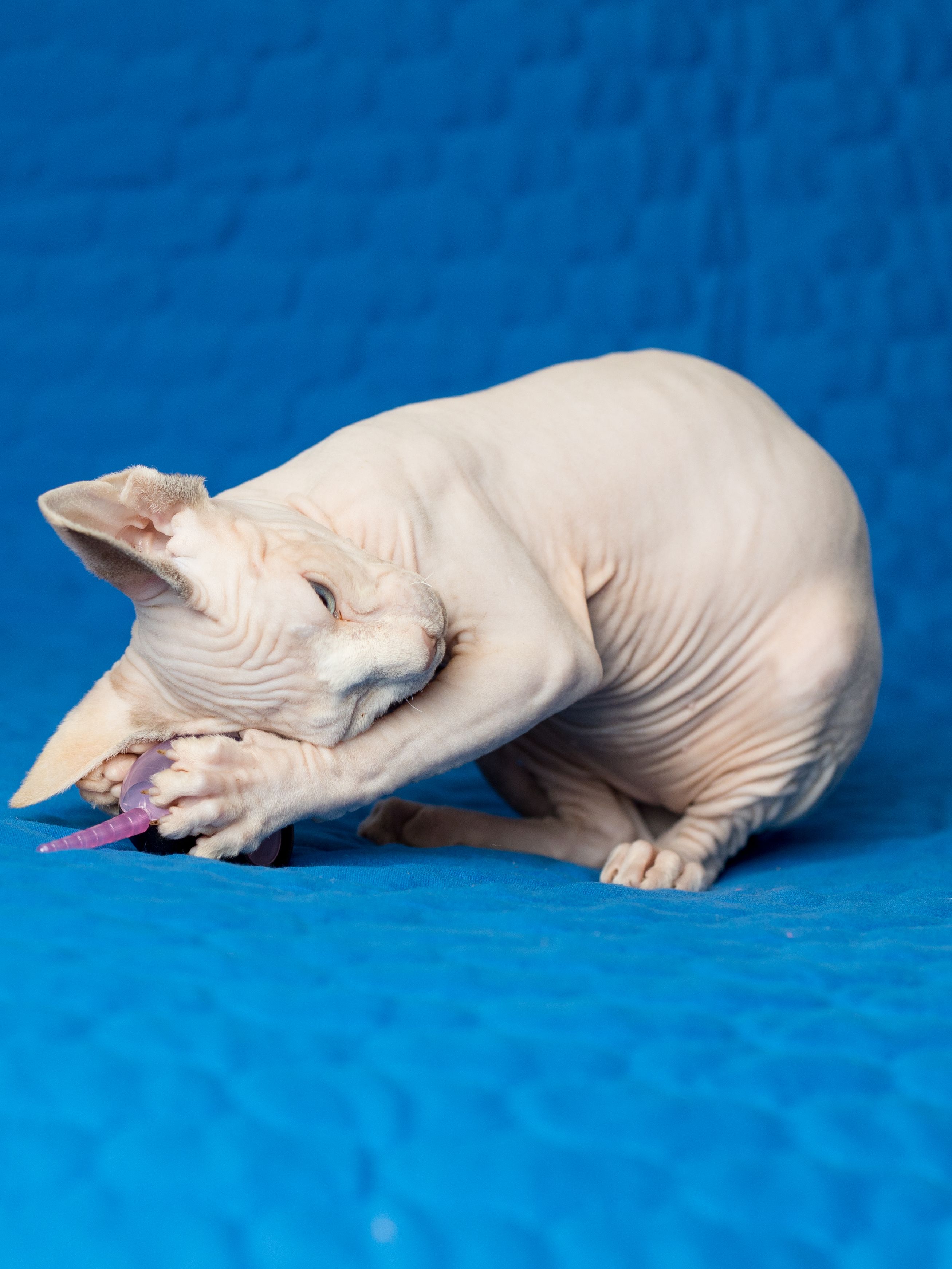 Produkt CTM0844429 Bild 11