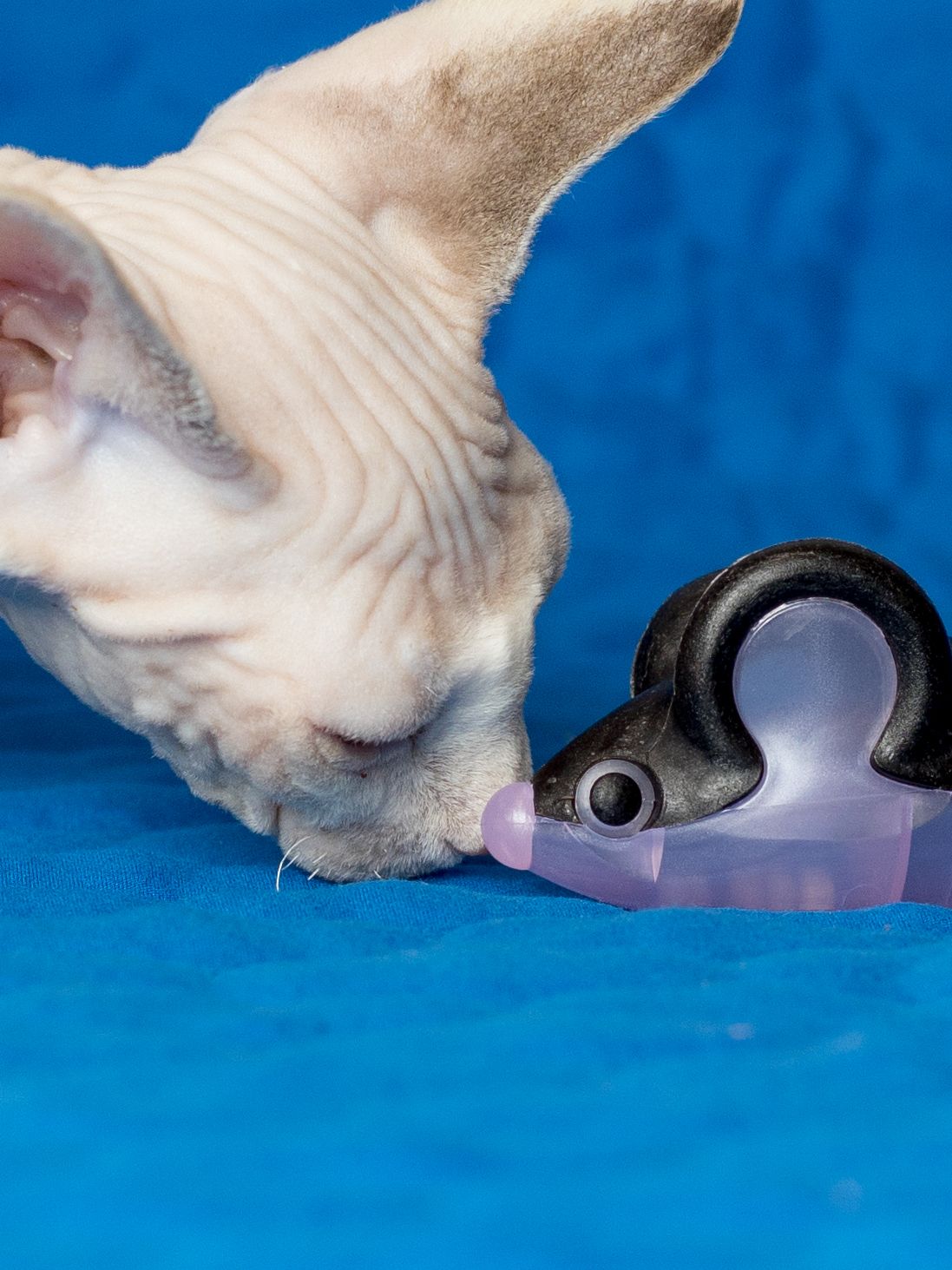 Produkt CTM0844429 Bild 12