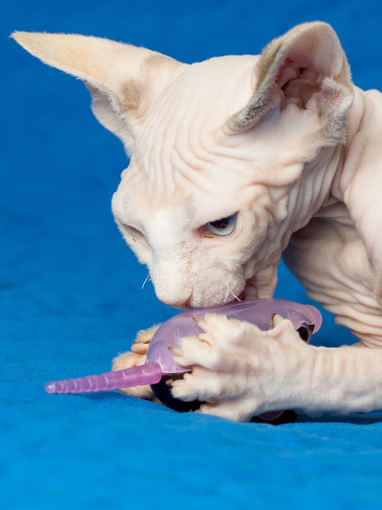 Produkt CTM0844429 Bild 15