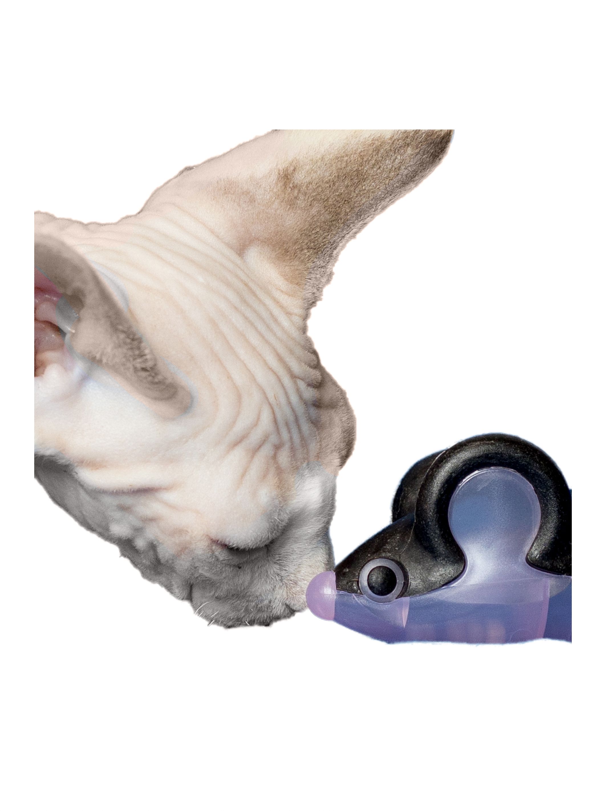 Produkt CTM0844429 Bild 16