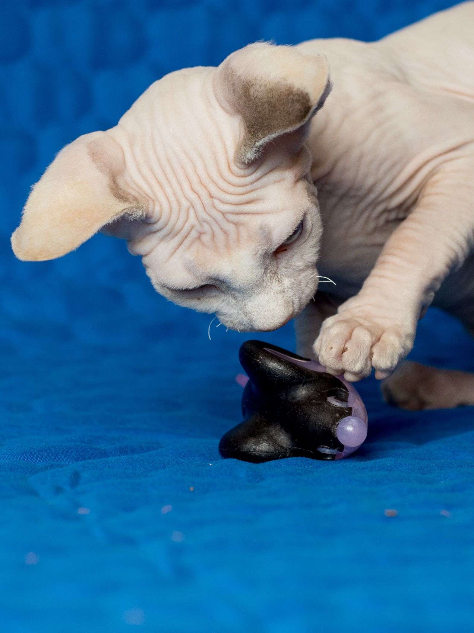 Produkt CTM0844429 Bild 7