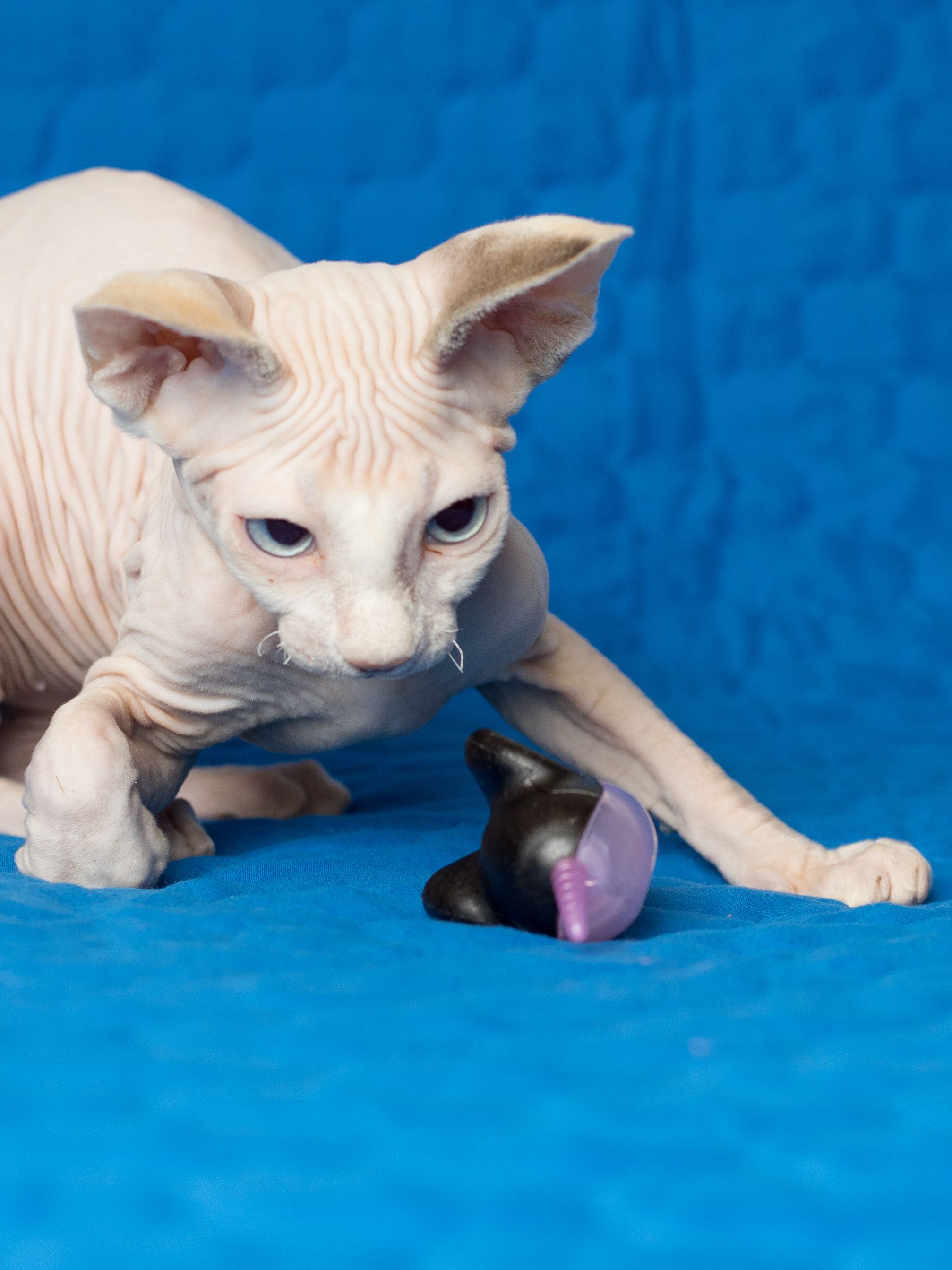 Produkt CTM0844429 Bild 9