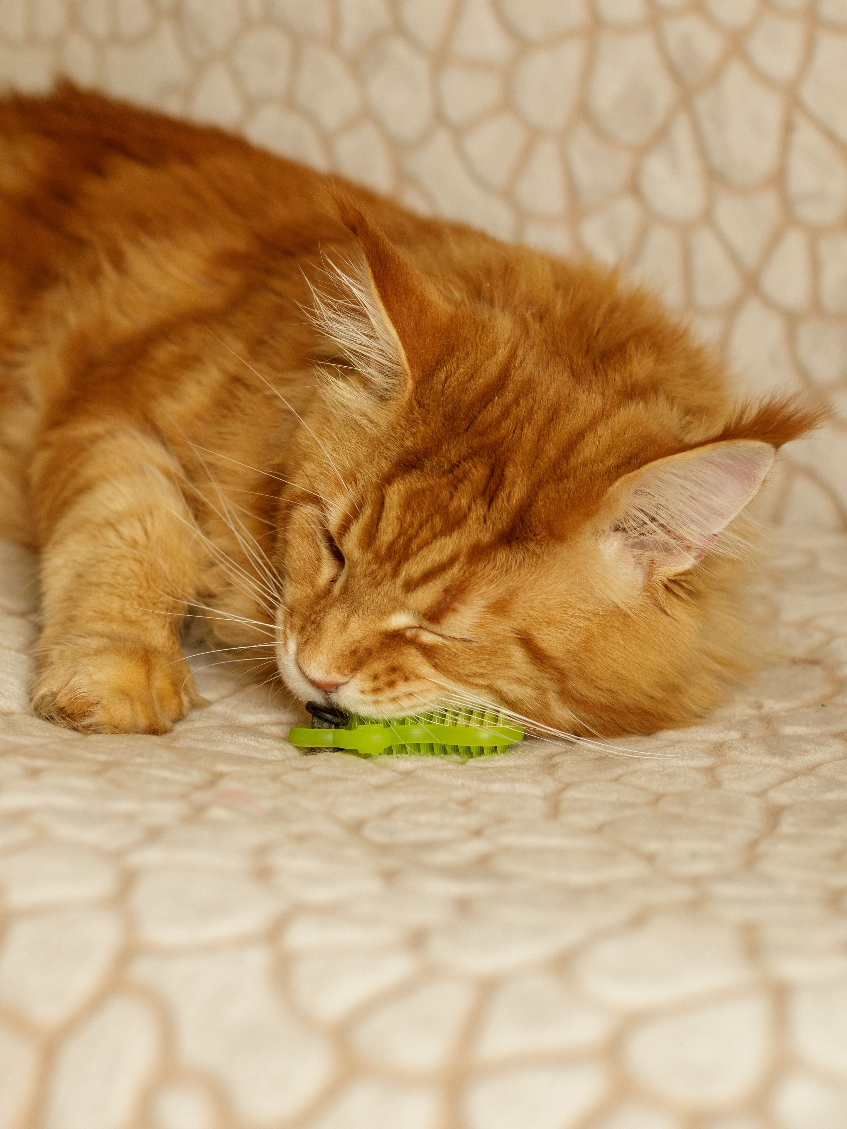 Produkt CTM0844986 Bild 2