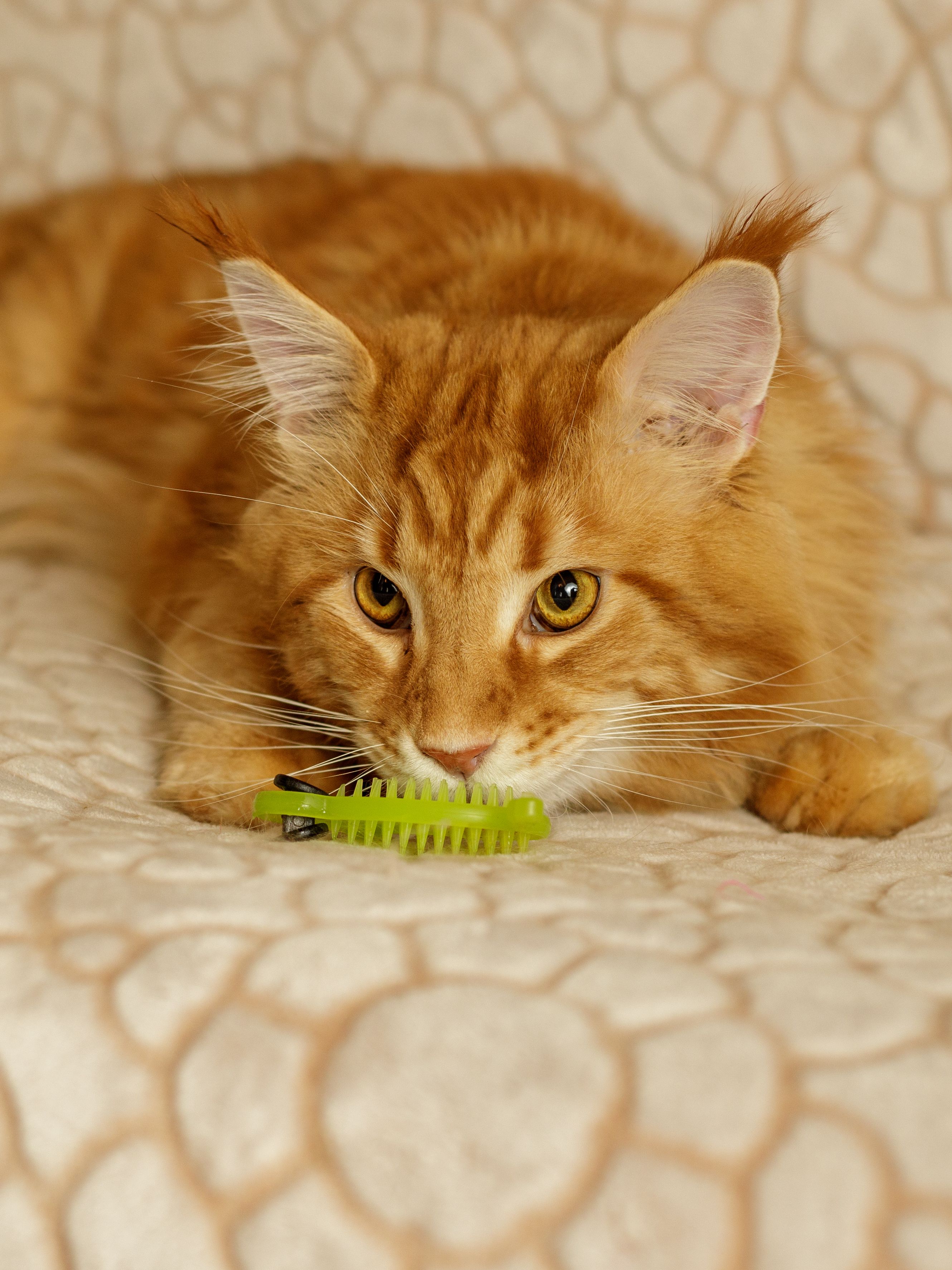 Produkt CTM0844986 Bild 3