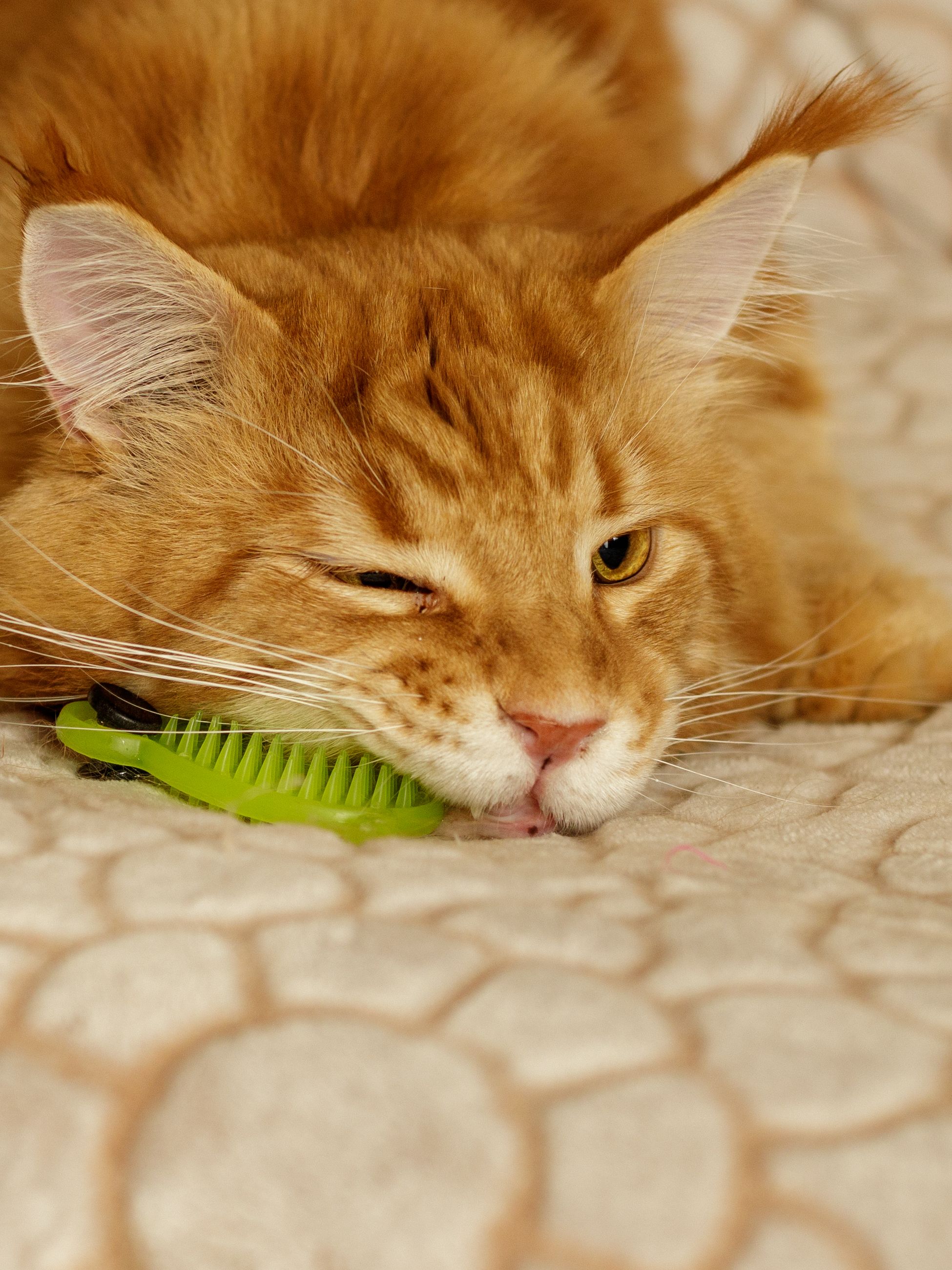 Produkt CTM0844986 Bild 4