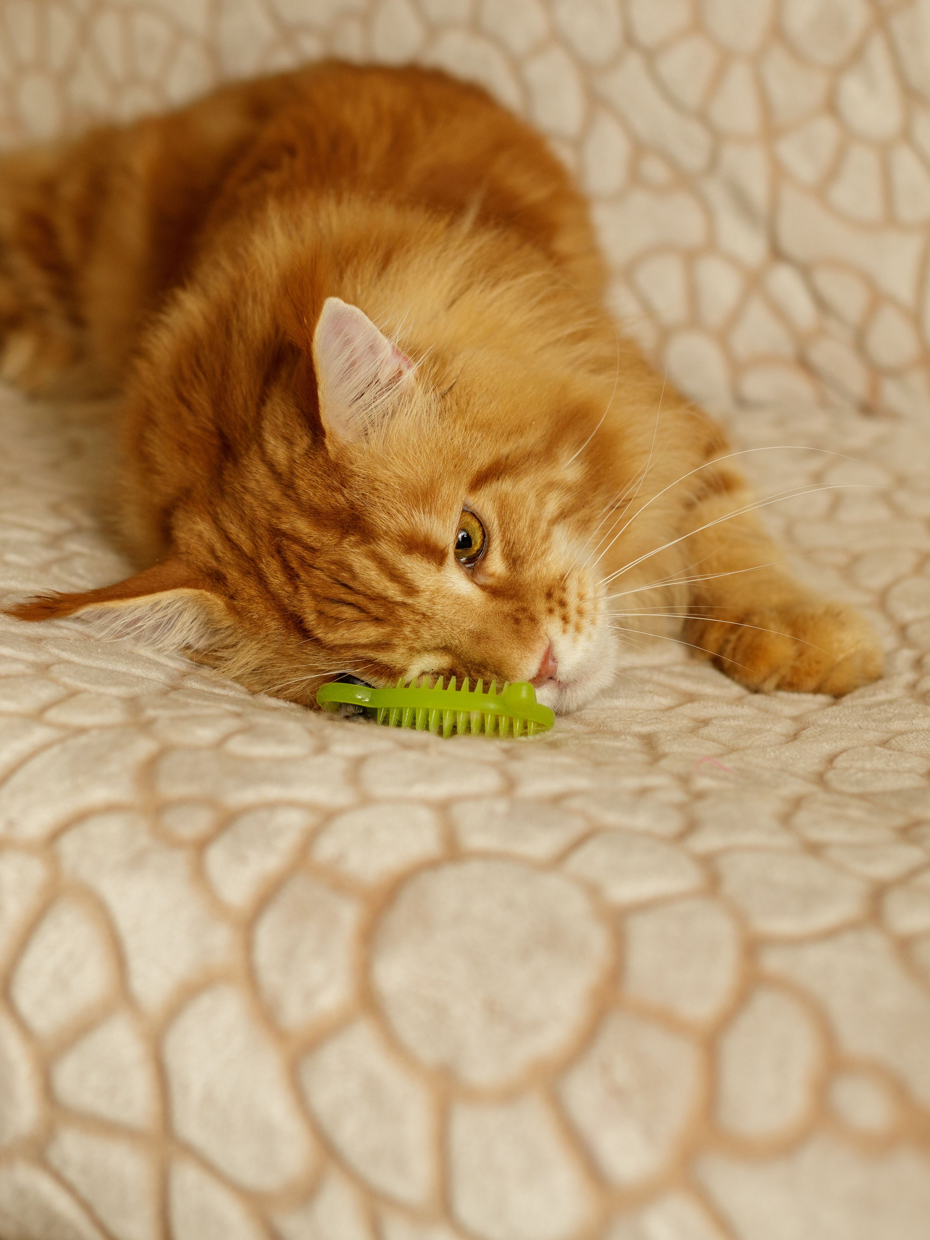 Produkt CTM0844986 Bild 5