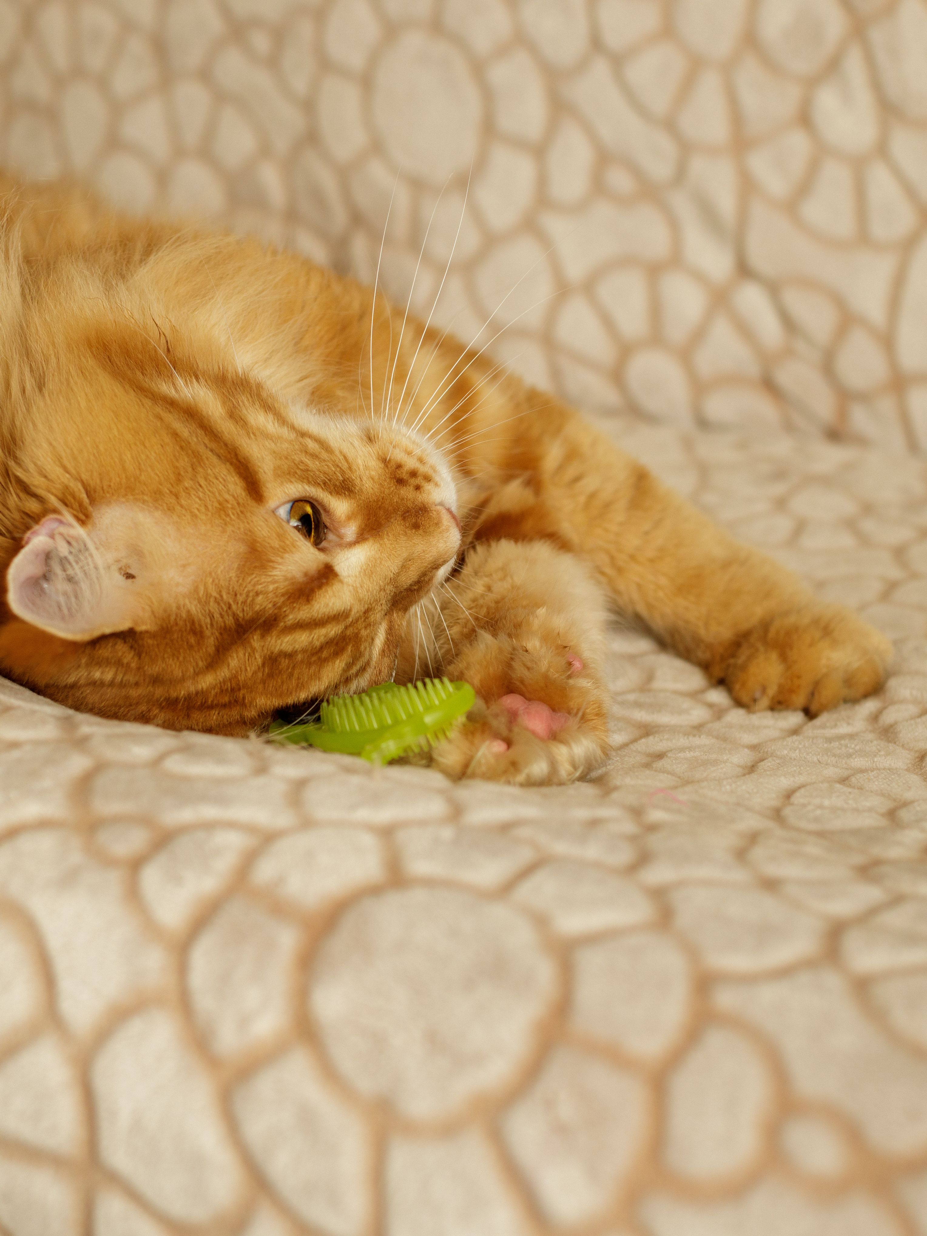 Produkt CTM0844986 Bild 6