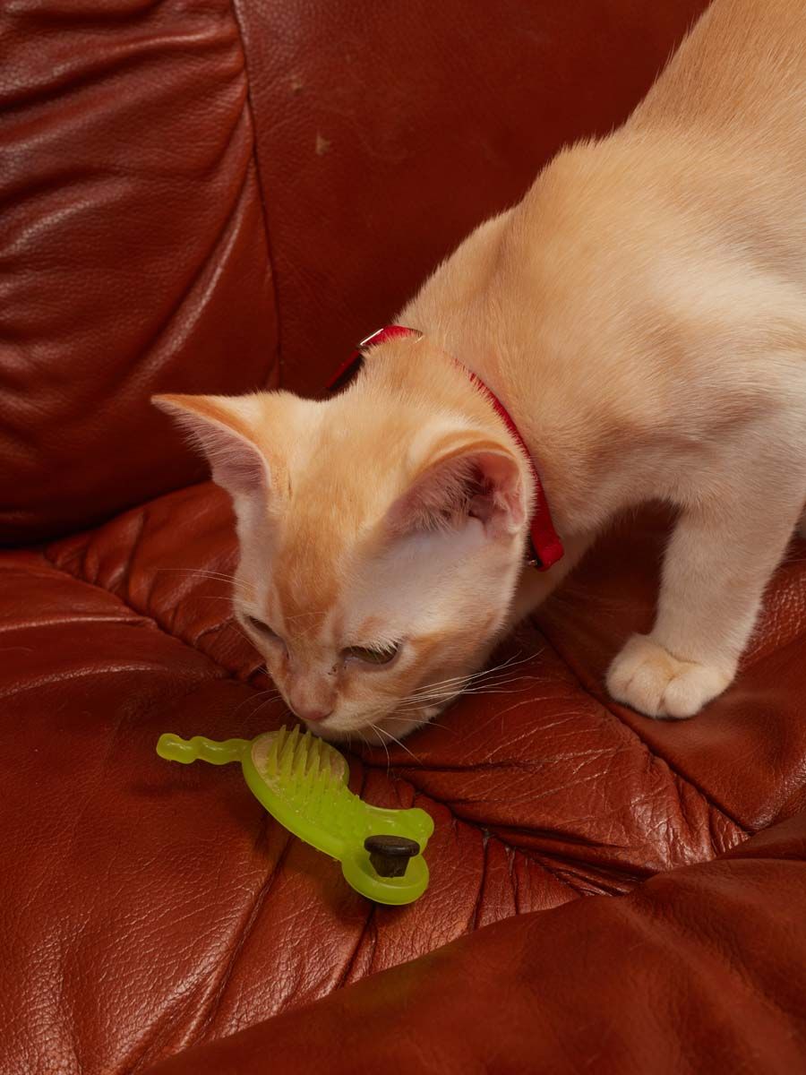 Produkt CTM0844986 Bild 7