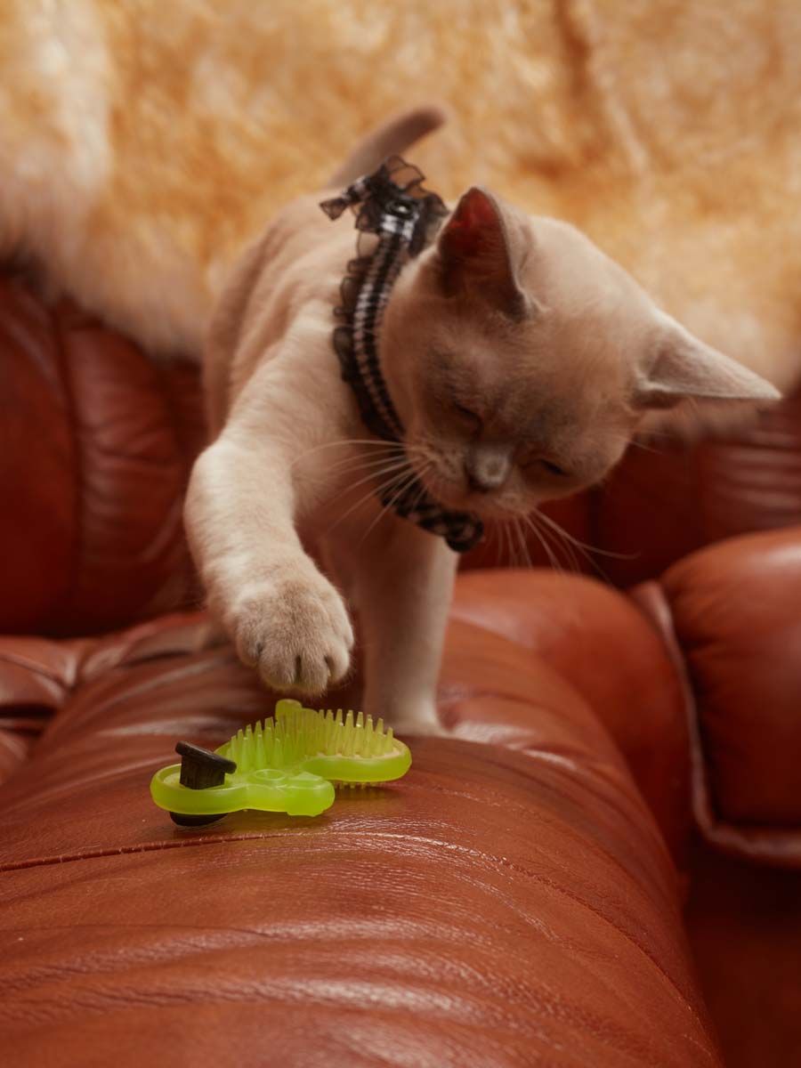 Produkt CTM0844986 Bild 9