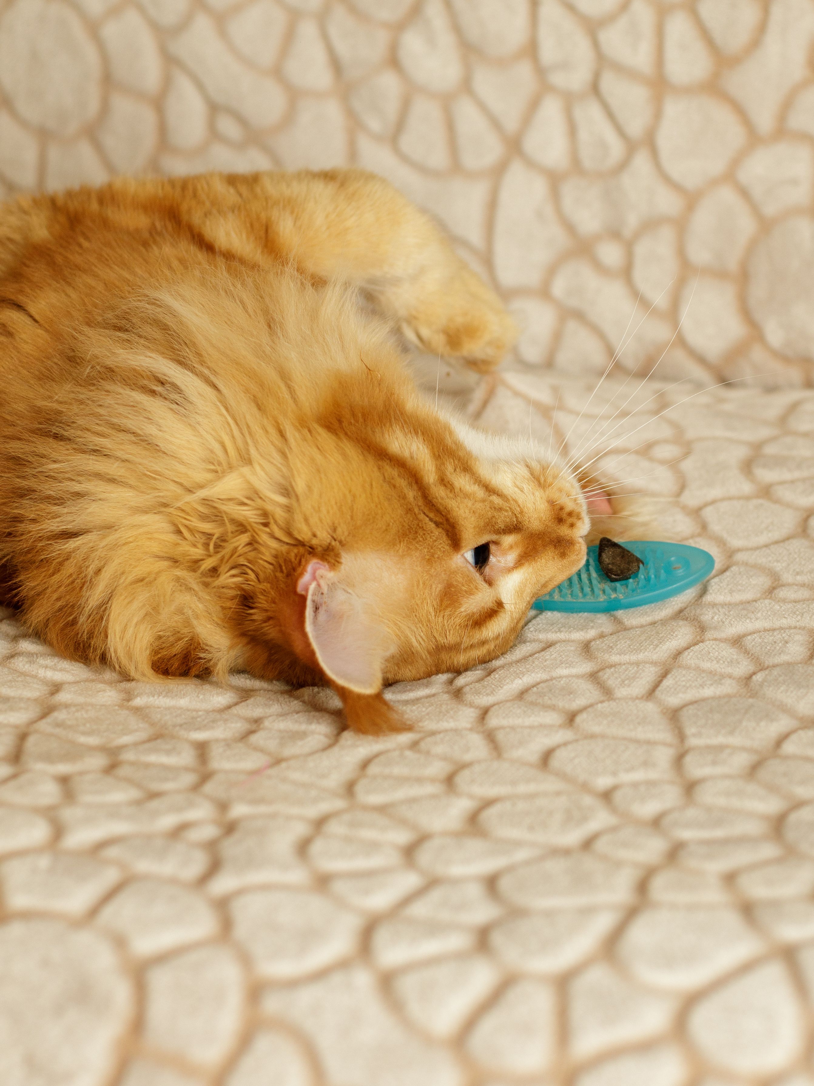 Produkt CTM0844993 Bild 2