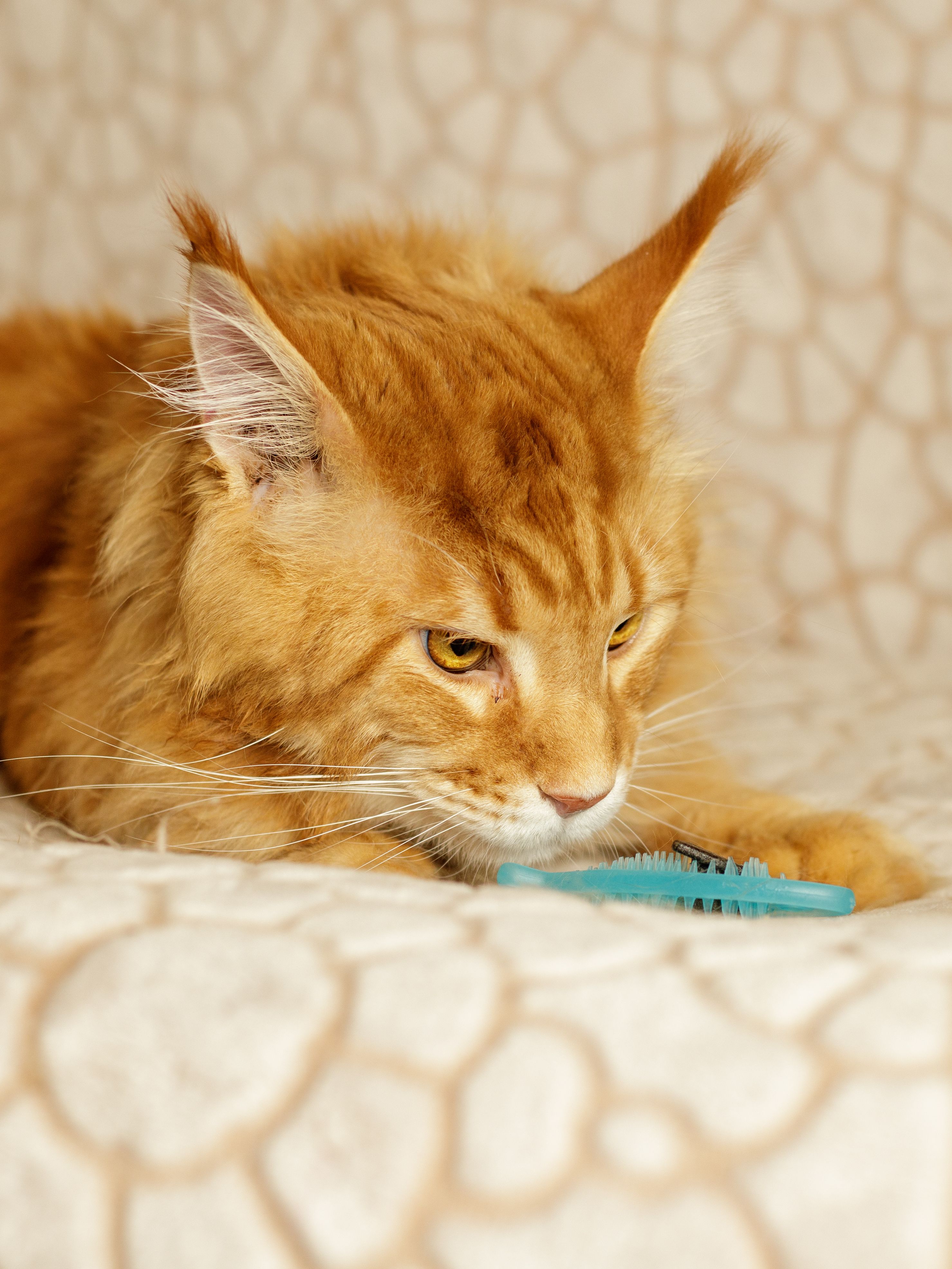 Produkt CTM0844993 Bild 3