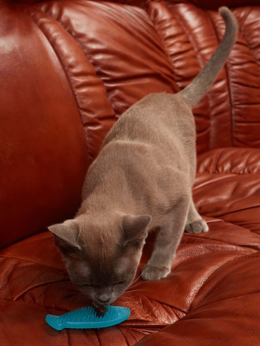 Produkt CTM0844993 Bild 5