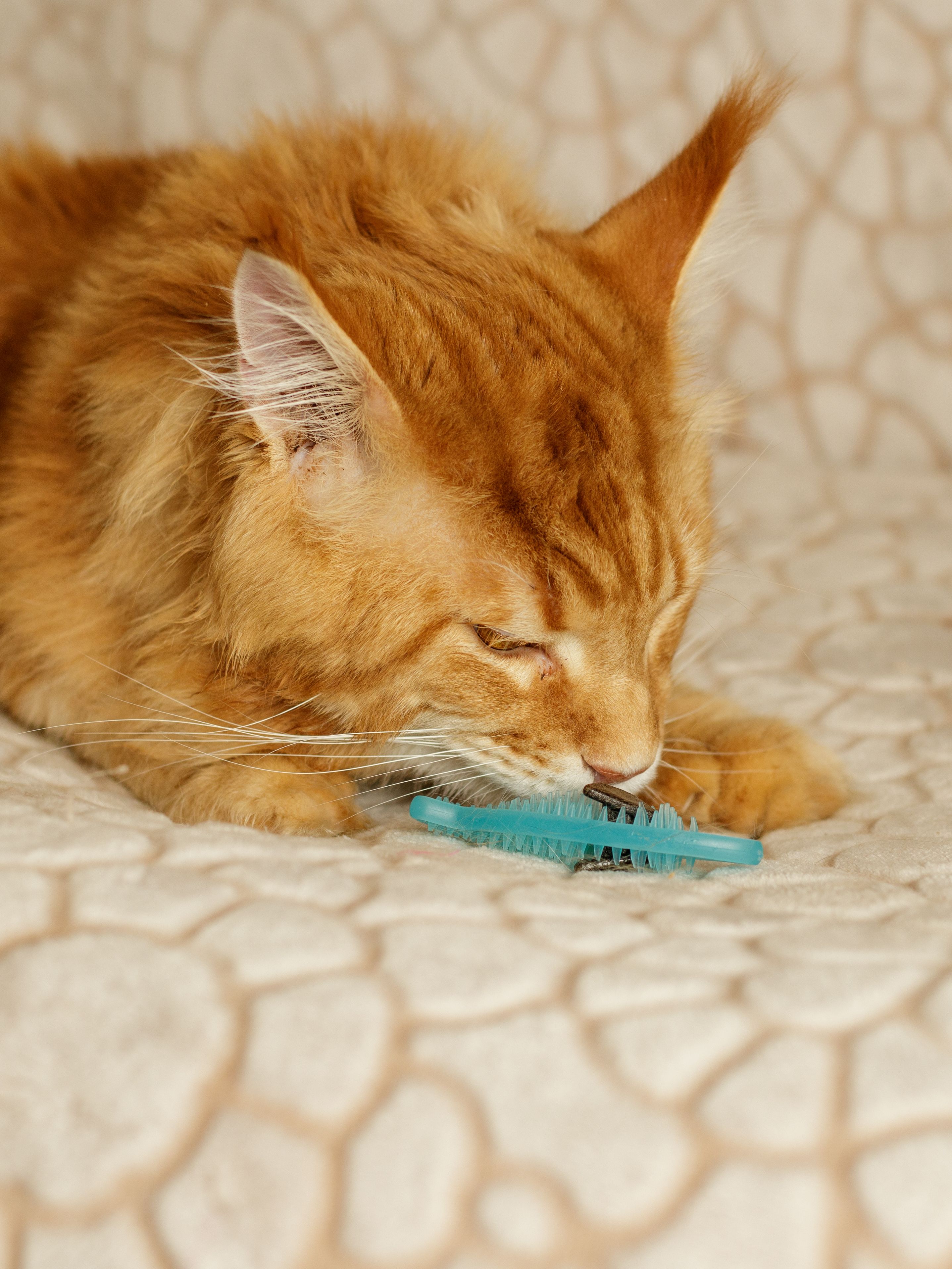 Produkt CTM0844993 Bild 7