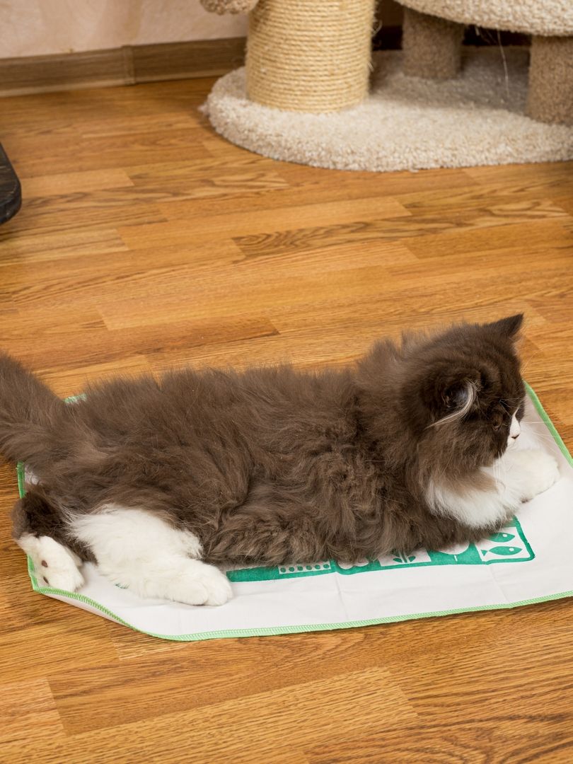 Produkt CTM0917704 Bild 13