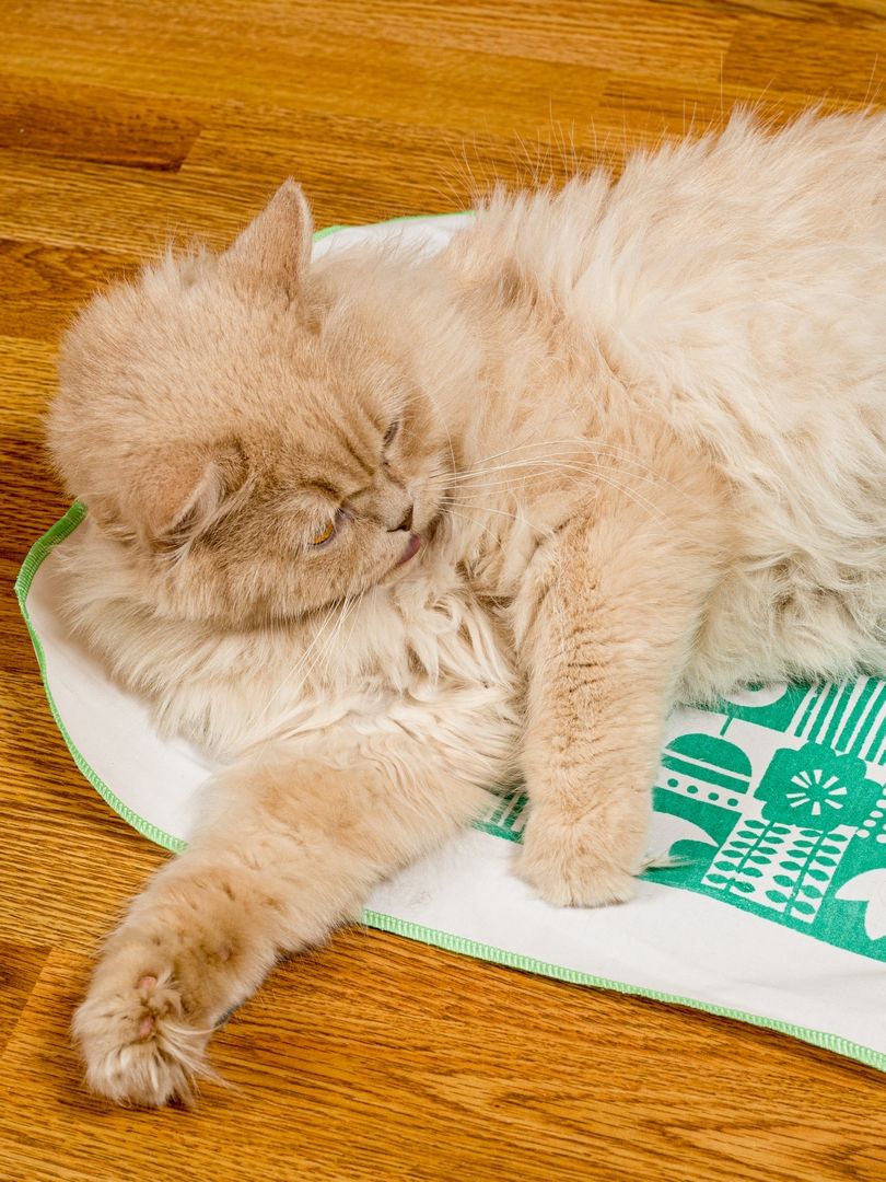 Produkt CTM0917704 Bild 14