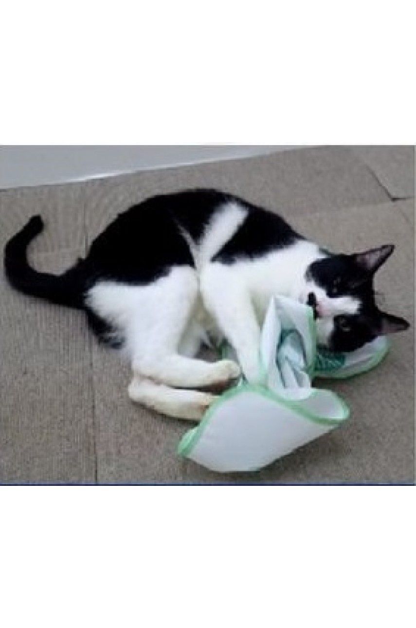 Produkt CTM0917704 Bild 17