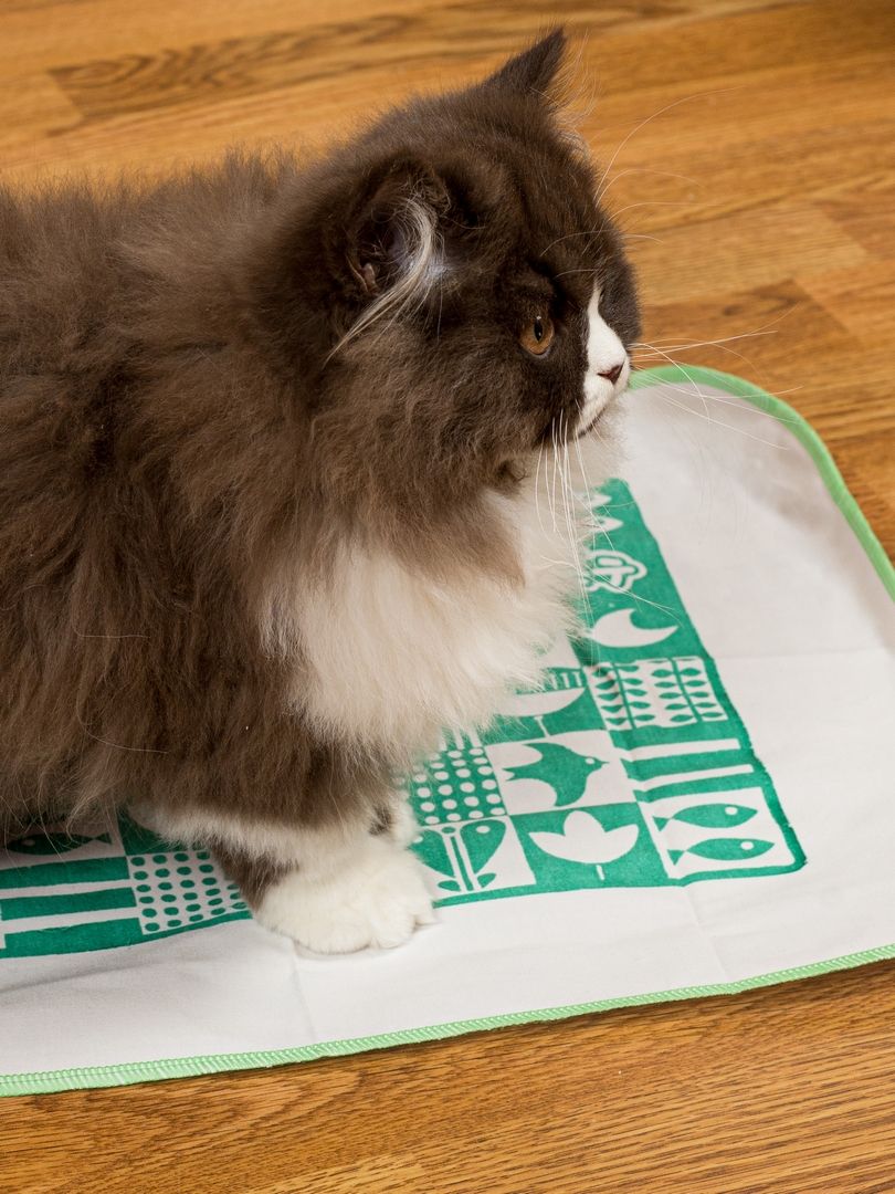 Produkt CTM0917704 Bild 18