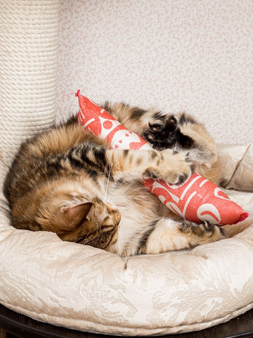 Product CTM0917803 photo 12