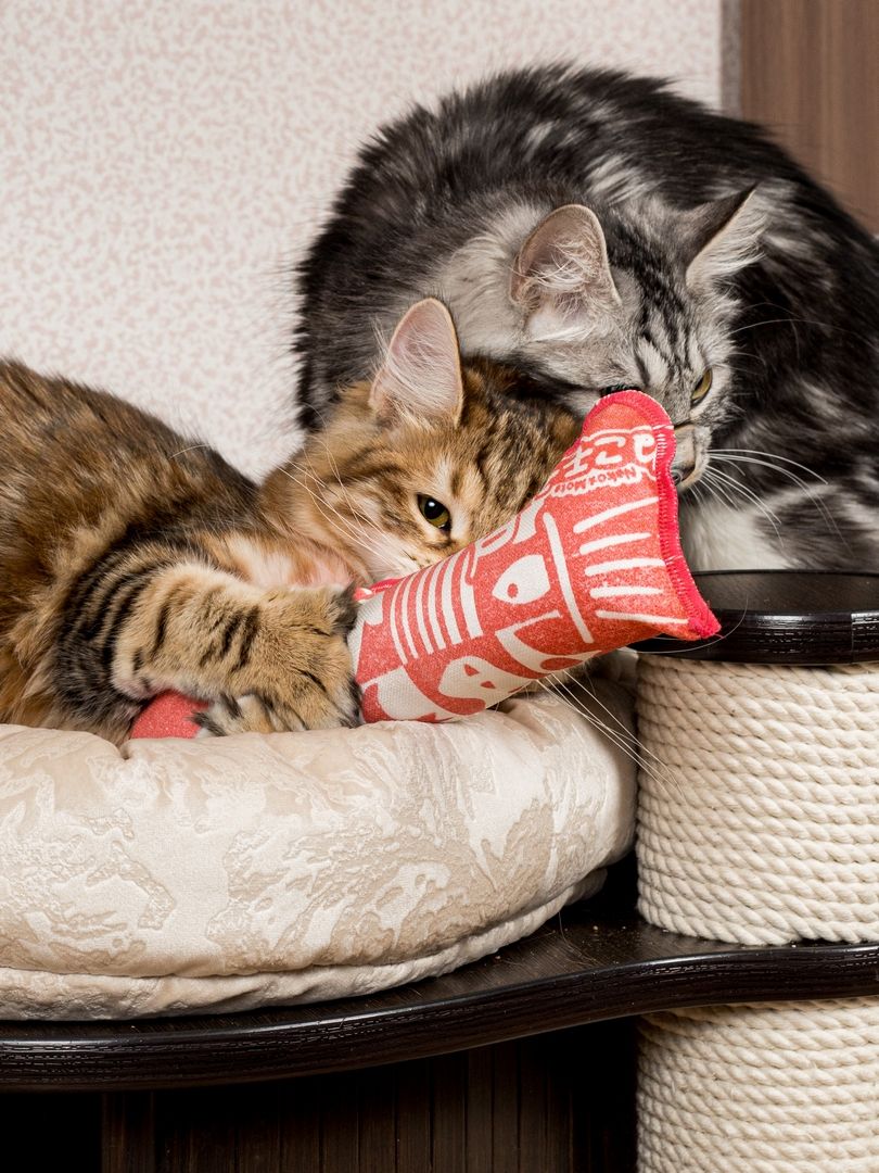 Product CTM0917803 photo 13