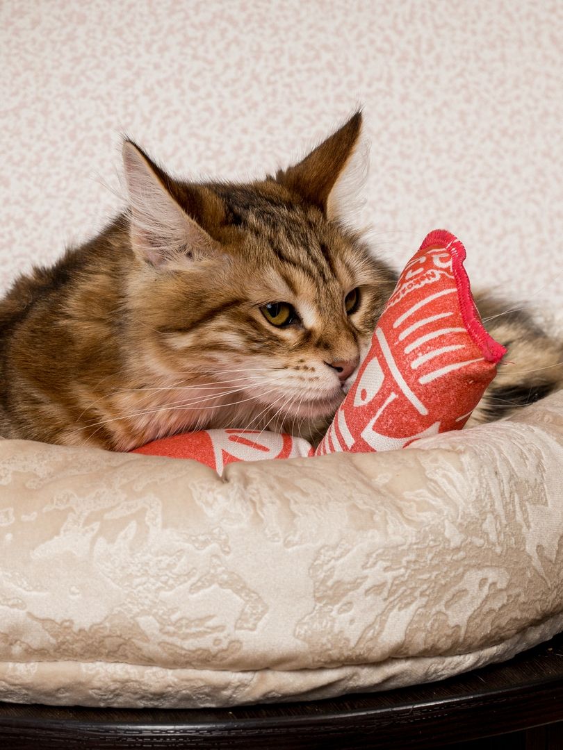 Product CTM0917803 photo 14